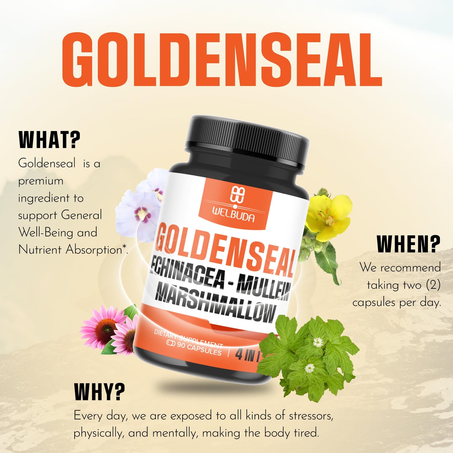 WELBUDA Goldenseal Root with Echinacea, Mullein Leaf, Marshmallow 90 Veggie Capsules