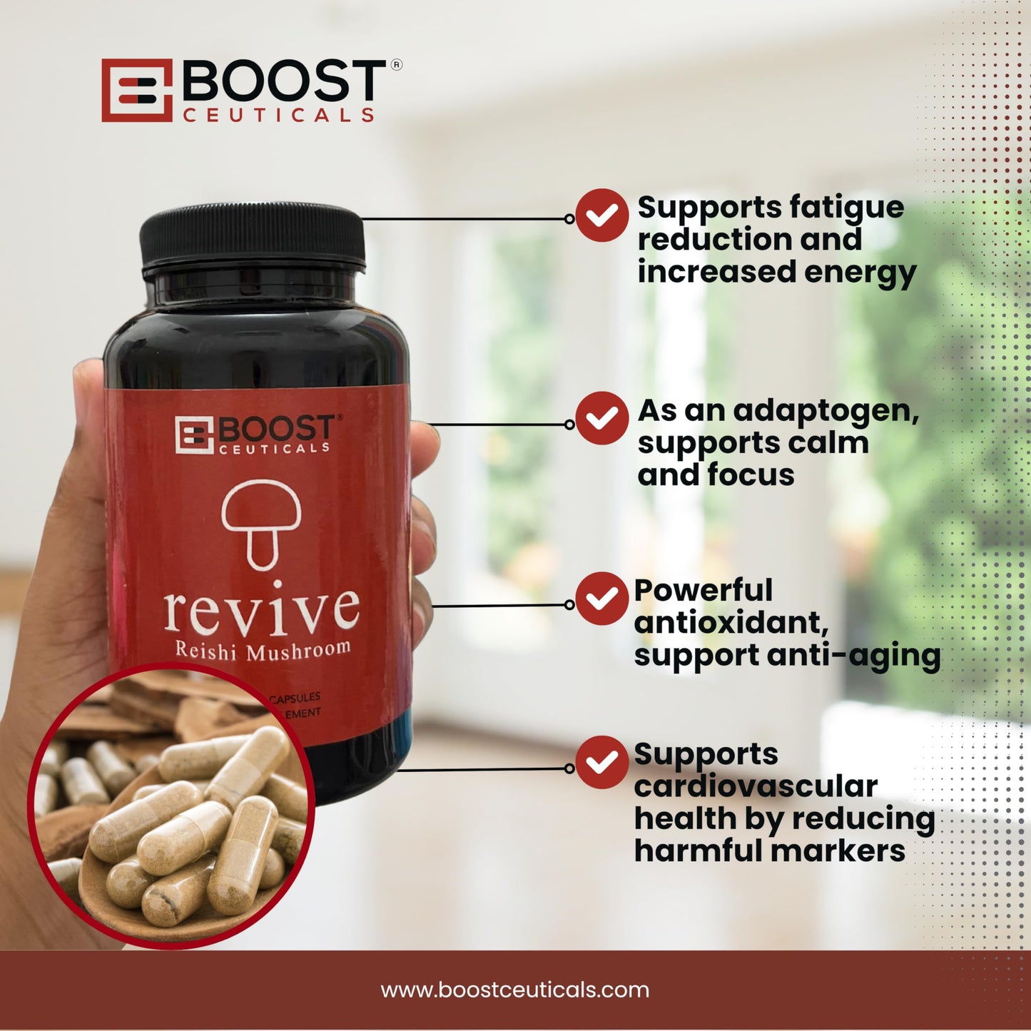 BoostCeuticals Reishi Immune Support Capsules 100 Count