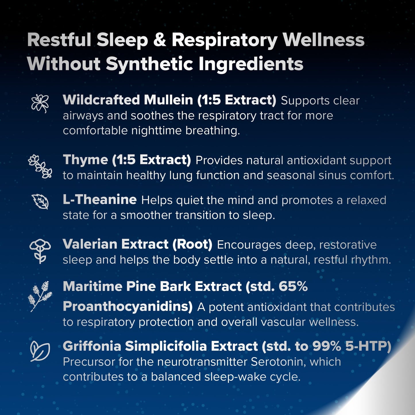 Herbal Tea Therapy BREATHE PM Nighttime 6-in-1 Mullein Capsules for Lung Detox, 60 Capsules