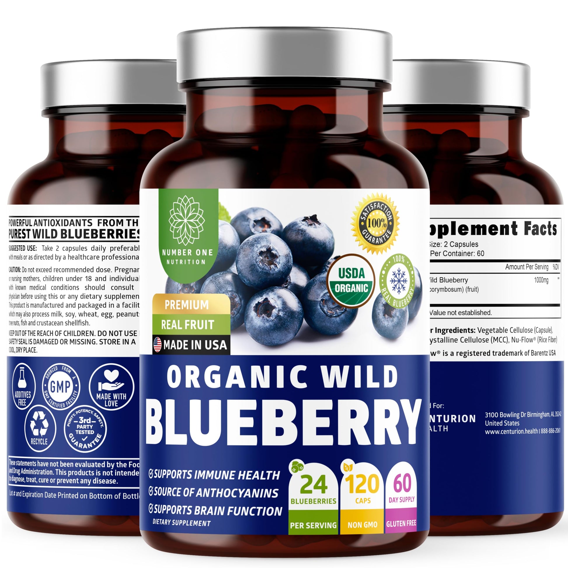 Number One Nutrition USDA Organic Wild Blueberry Extract, Equivalent to 24 Whole Blueberries, Supports Immune Health, 120 Capsules