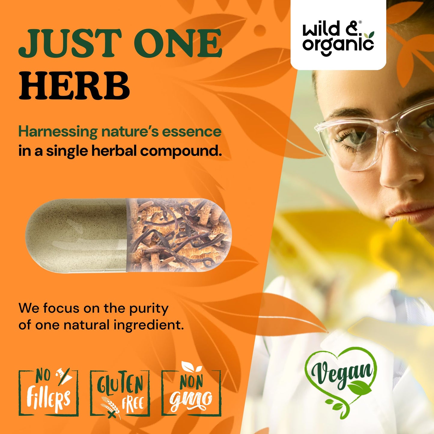 Wild & Organic Cordyceps Mushroom Capsules, 60 Count