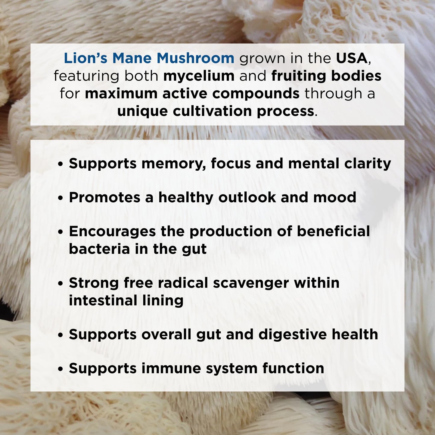 Ascent Nutrition Organic Lion's Mane Mushroom Powder, 2.12 oz