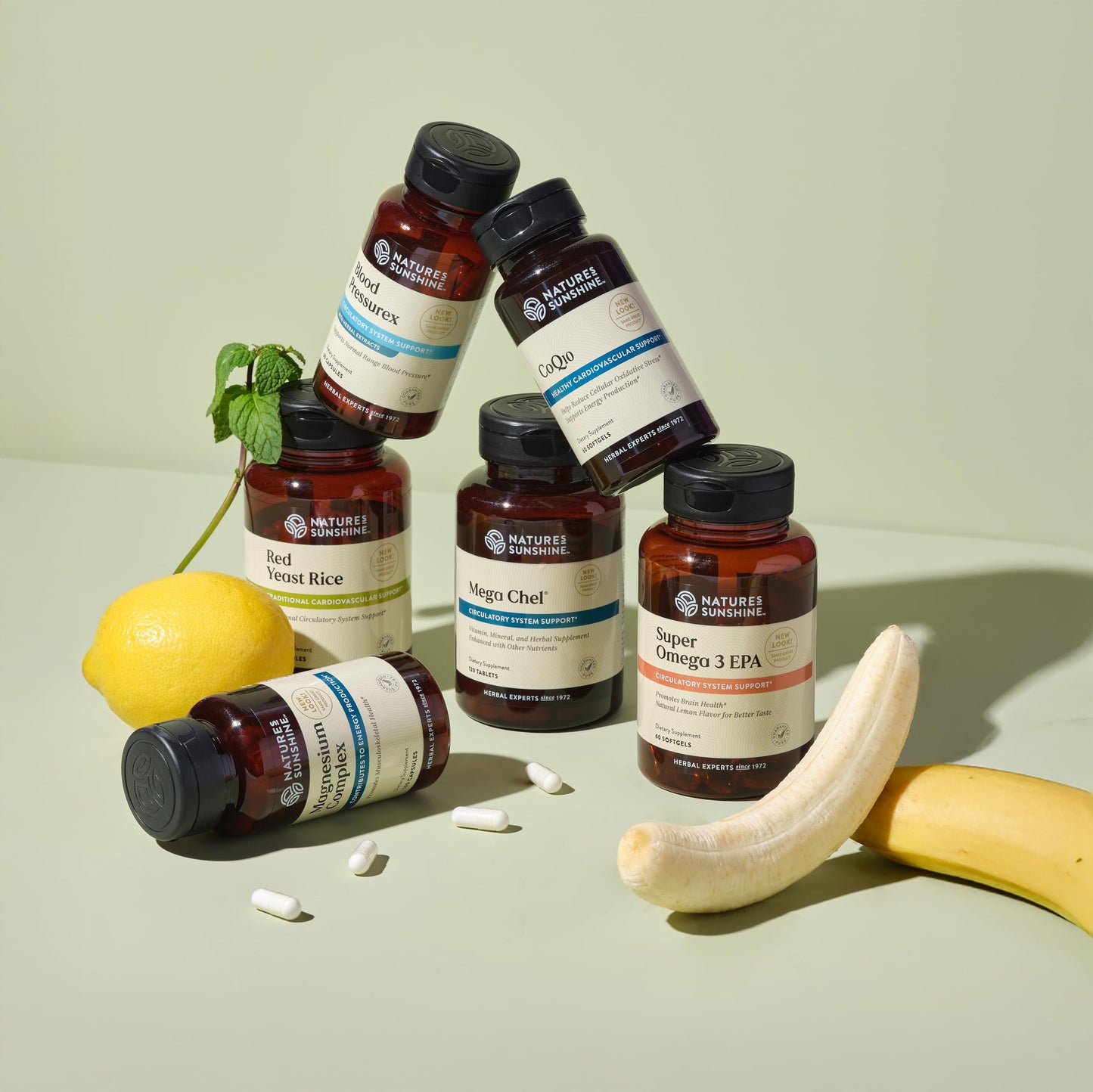 Nature's Sunshine Blood Pressurex Capsules 60
