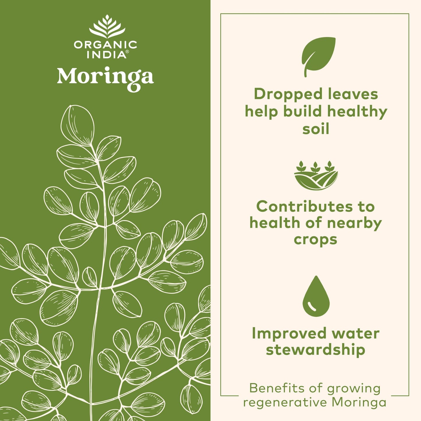 ORGANIC INDIA Chocolate Moringa Latte Powder, 3.5 oz