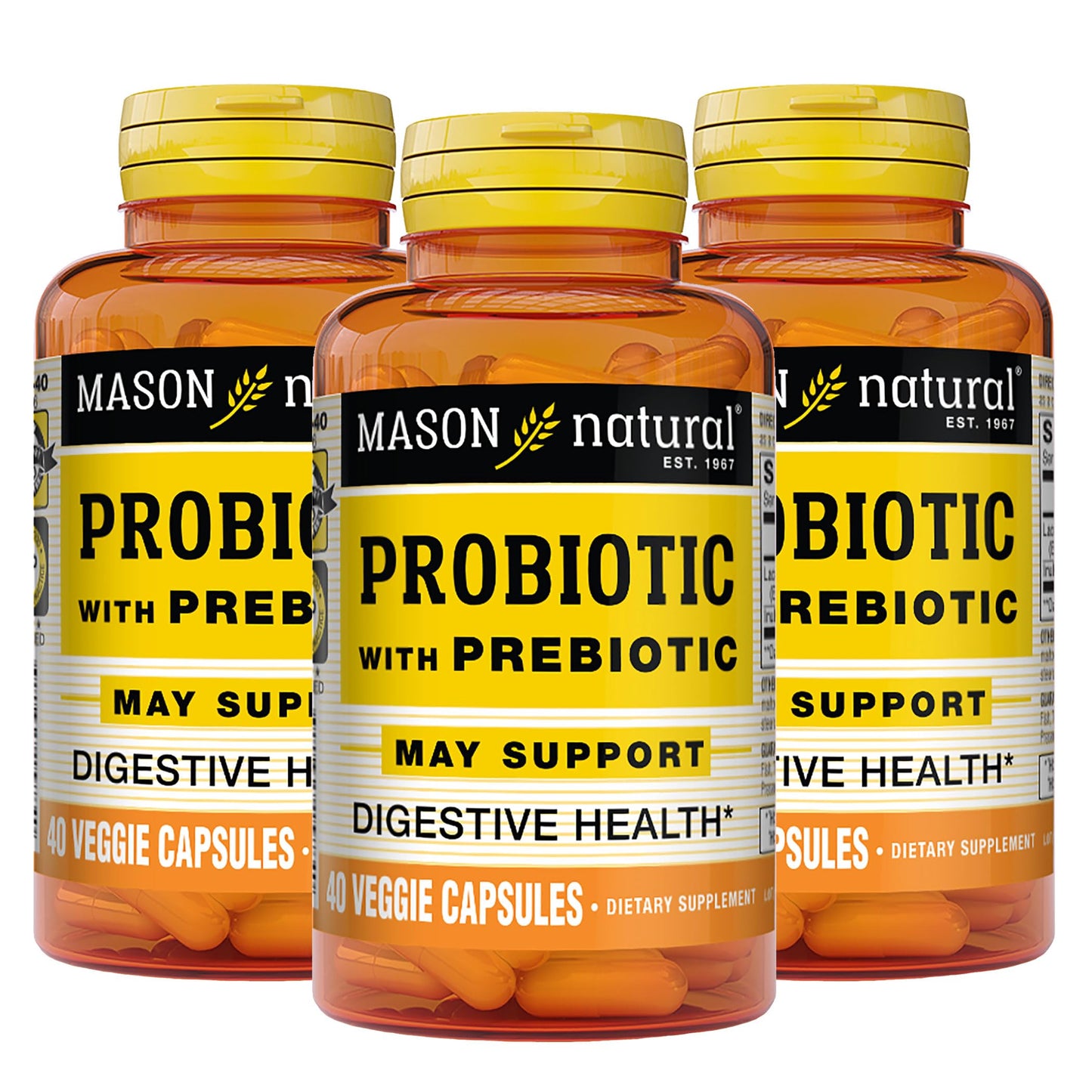 Mason Natural Probiotic with Prebiotic Capsules, 120 Capsules
