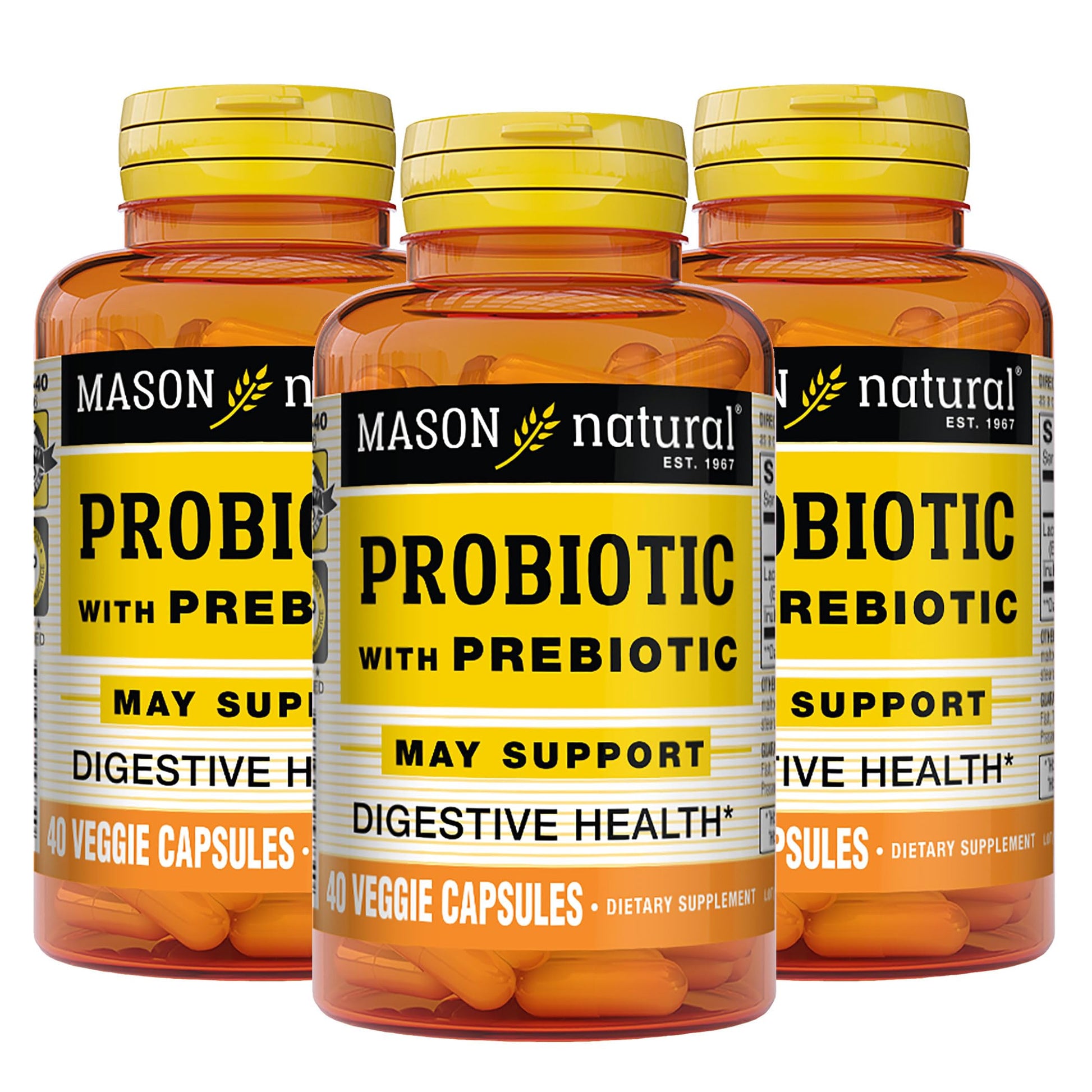 Mason Natural Probiotic with Prebiotic Capsules, 120 Capsules