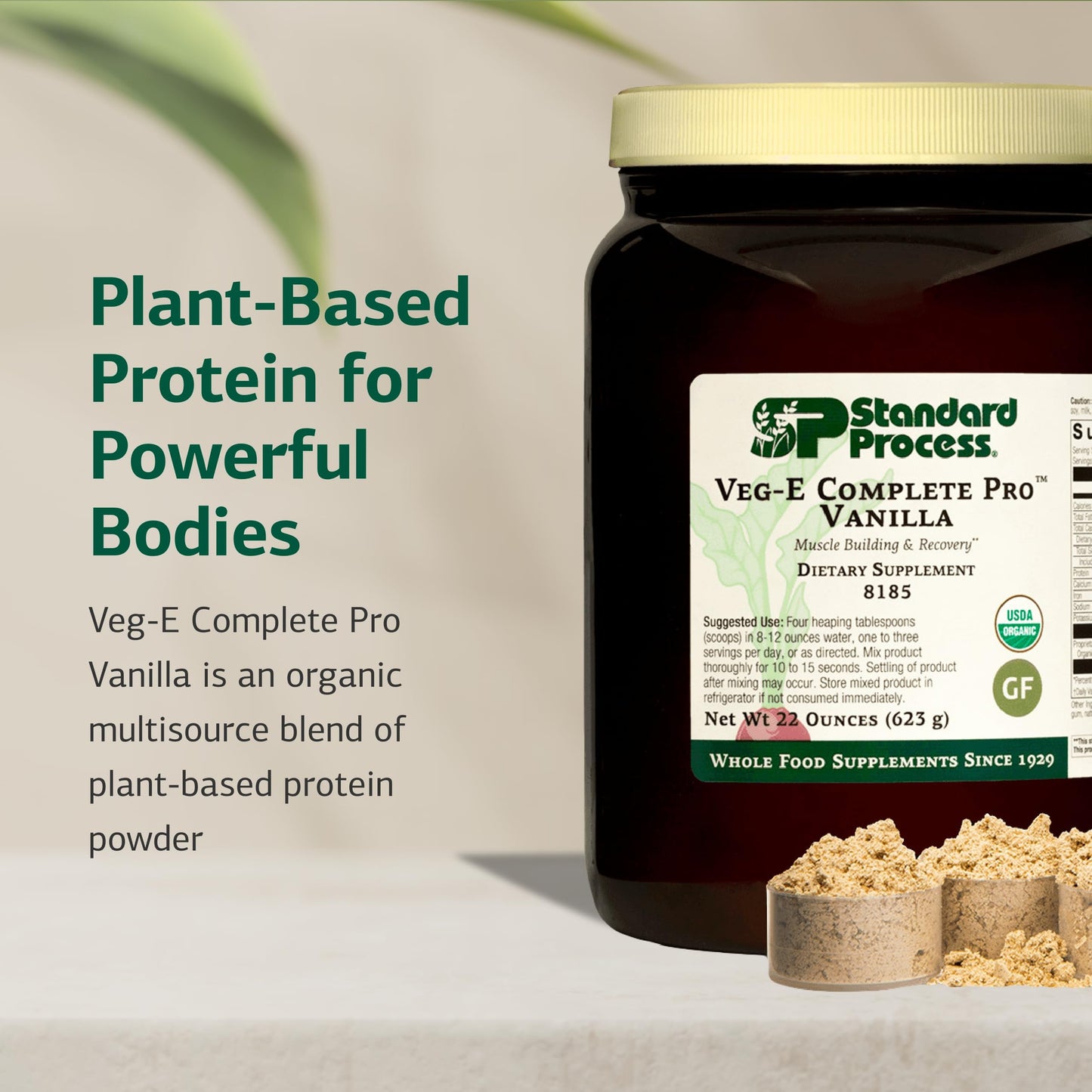 Standard Process Inc Veg-E Complete Pro Protein Powder 22 Servings