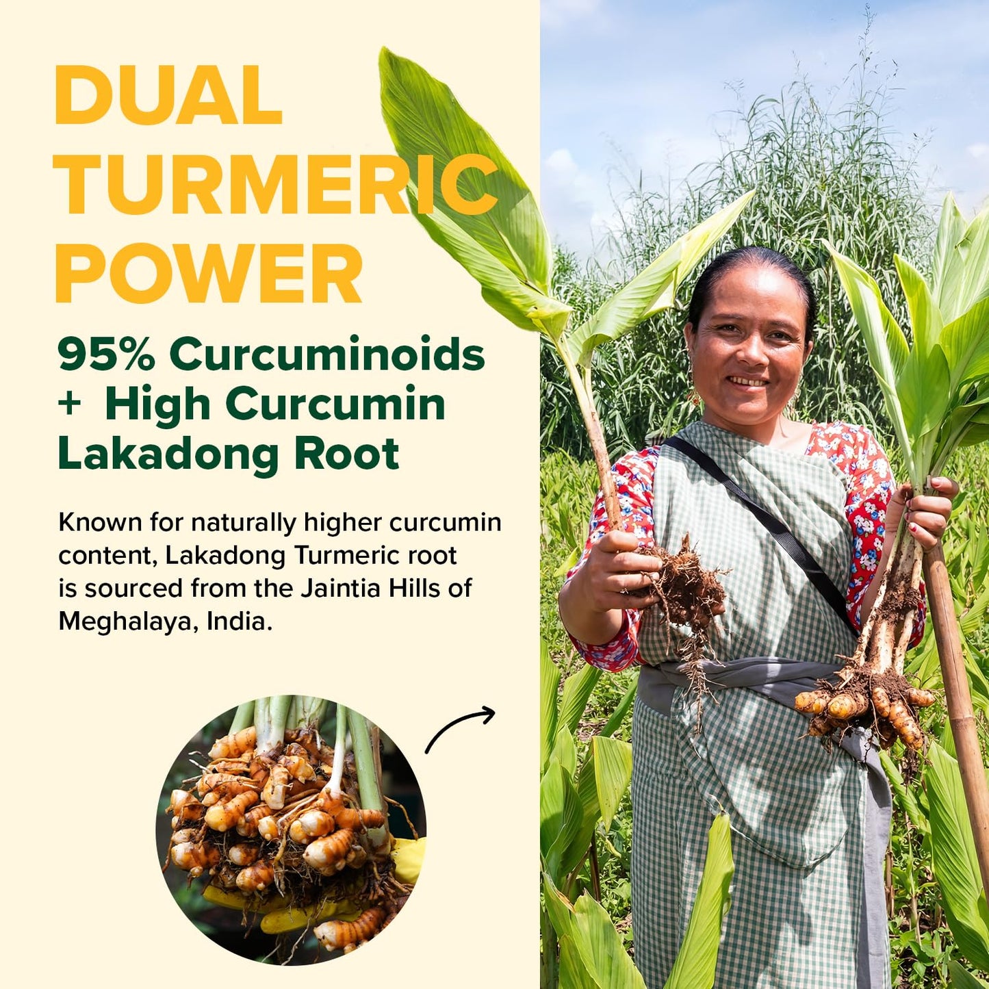 VAHDAM Turmeric Curcumin Supplement 2000mg (500mg Curcuminoids) with Boswellia & Piperine for Fast Absorption, 90 Capsules