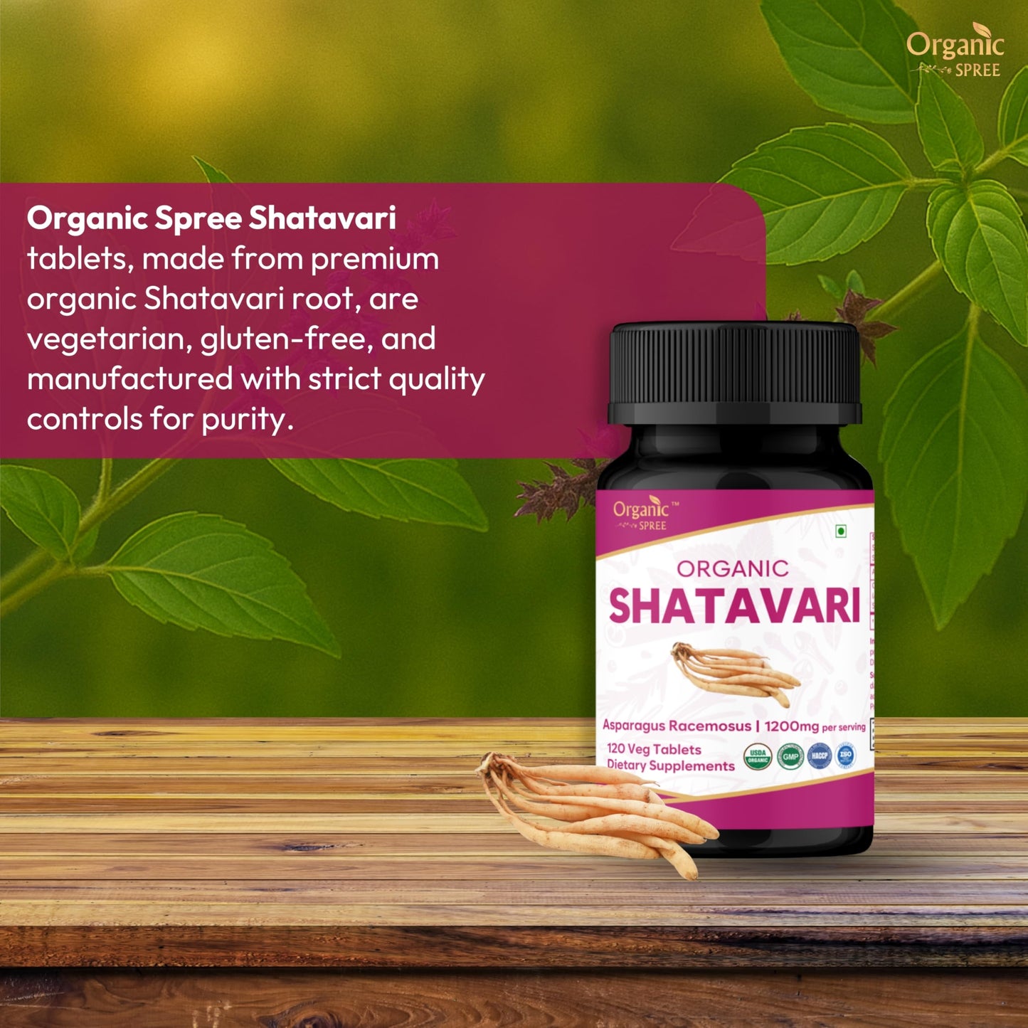 Organic Spree Shatavari Tablets 240