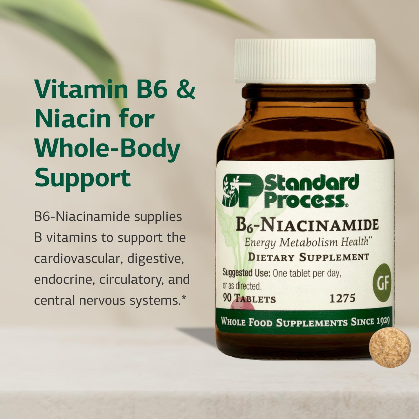 Standard Process Inc. B6-Niacinamide Tablet, 90 Tablets
