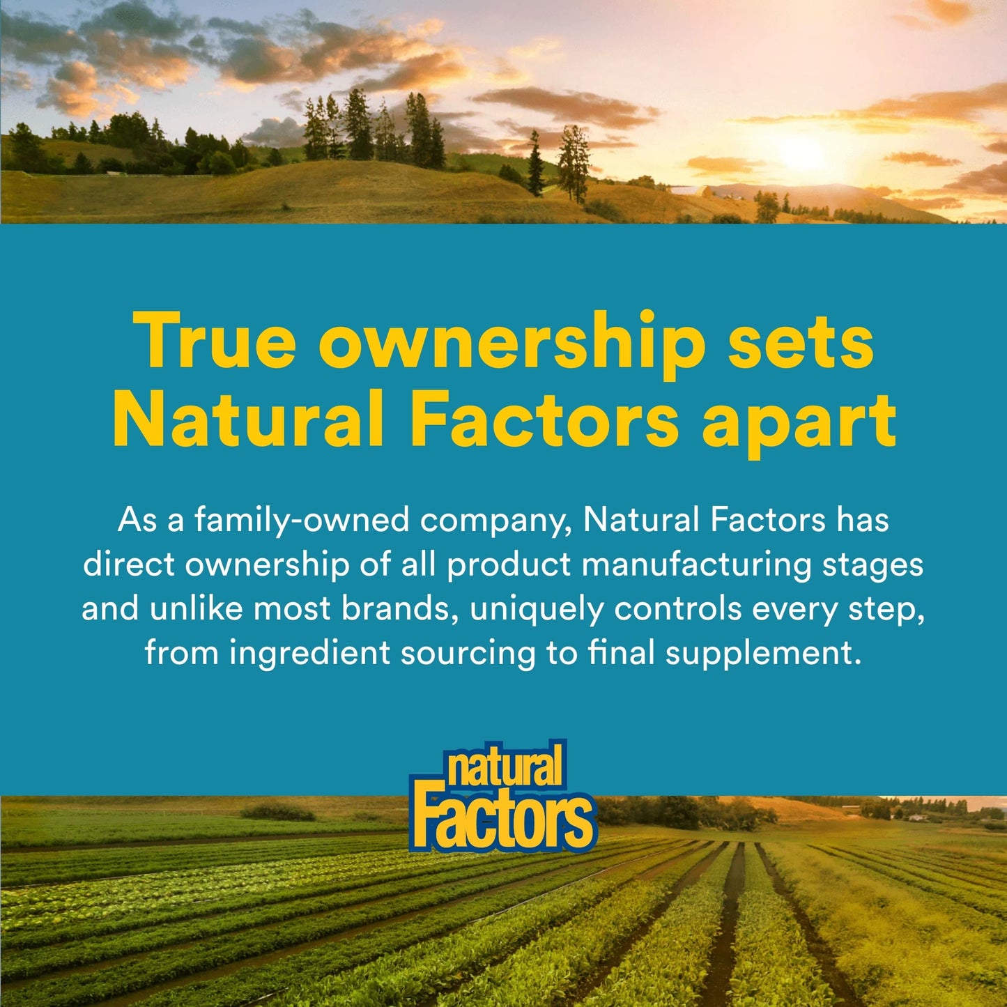 Natural Factors Ultimate Probiotic Senior's Capsules, 30 Count