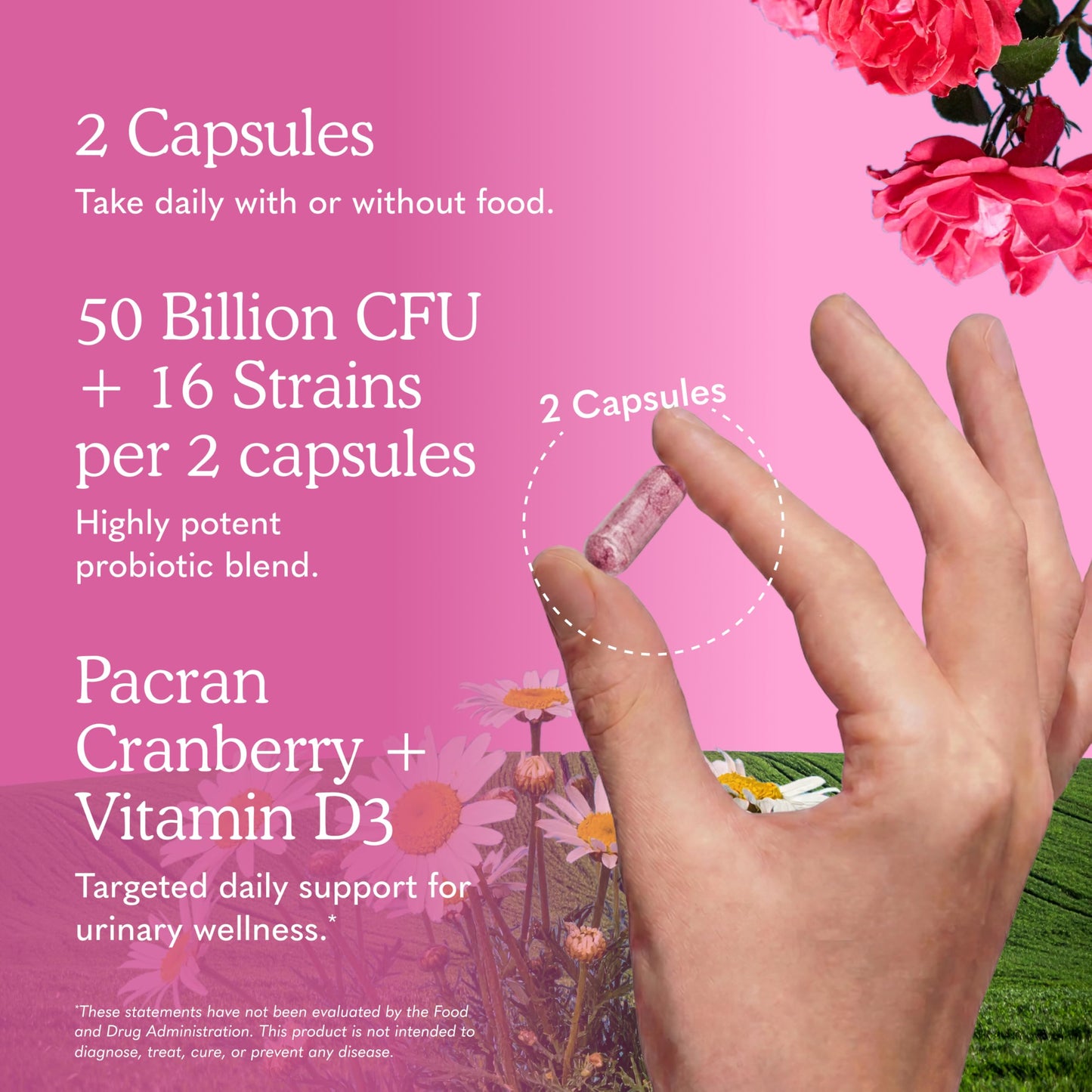 Garden of Life Dr. Formulated Probiotics Urinary Tract+ 60 Vegetarian Capsules