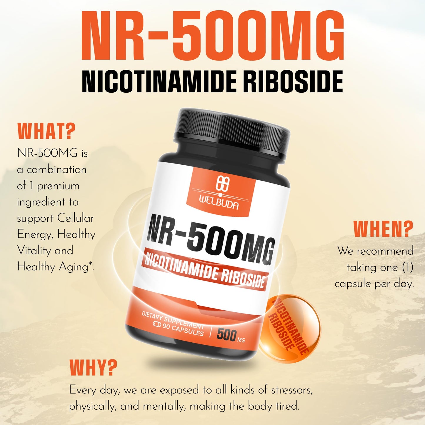 WELBUDA NAD+ Nicotinamide Riboside 500mg Capsules, 90 Count