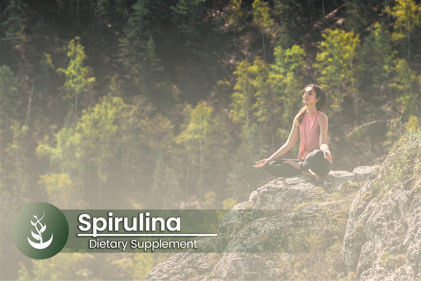 PURE ORIGINAL INGREDIENTS Spirulina Capsules 100 Count