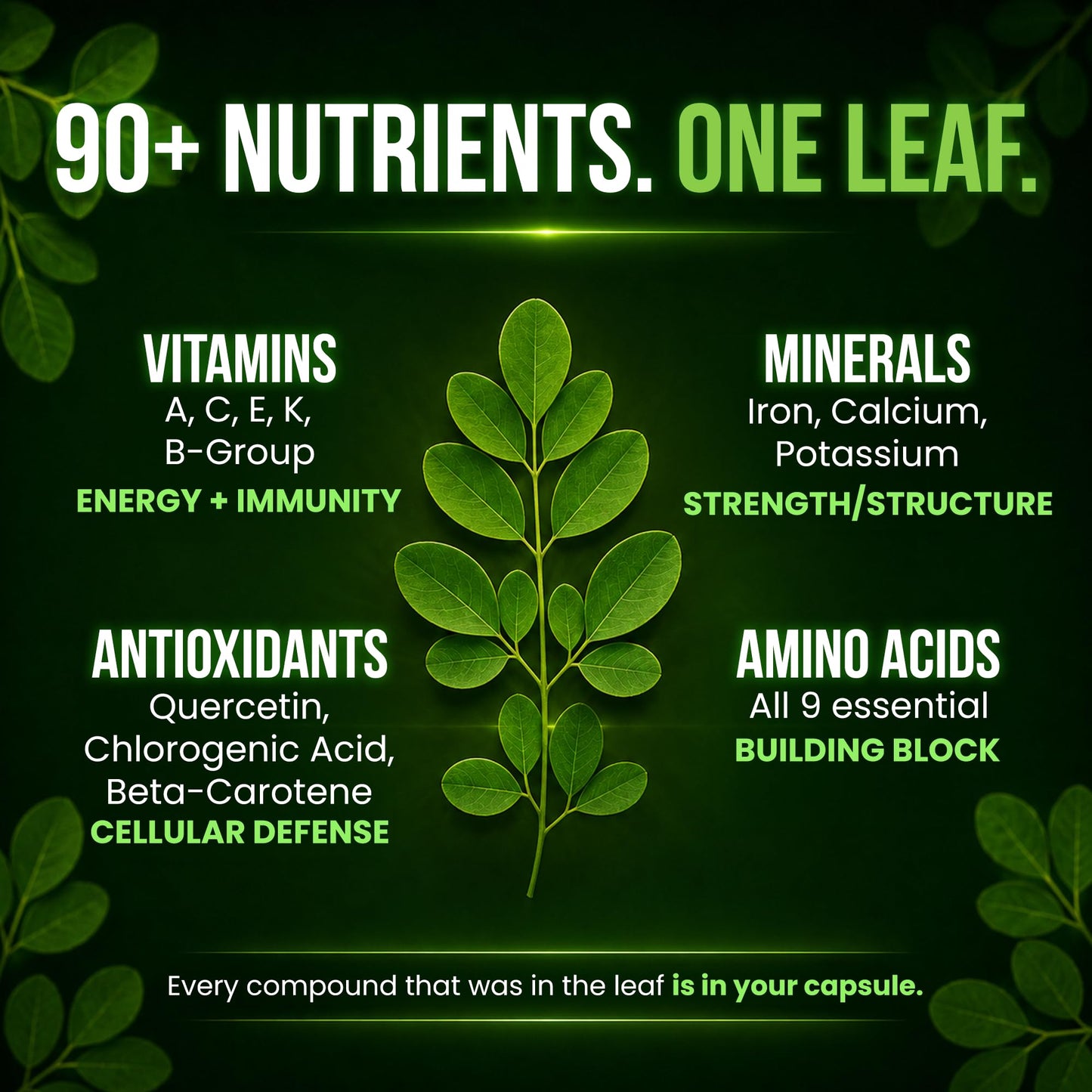 OmniBiotics Organic Moringa Capsules 1000mg Per Serving, 120 Count