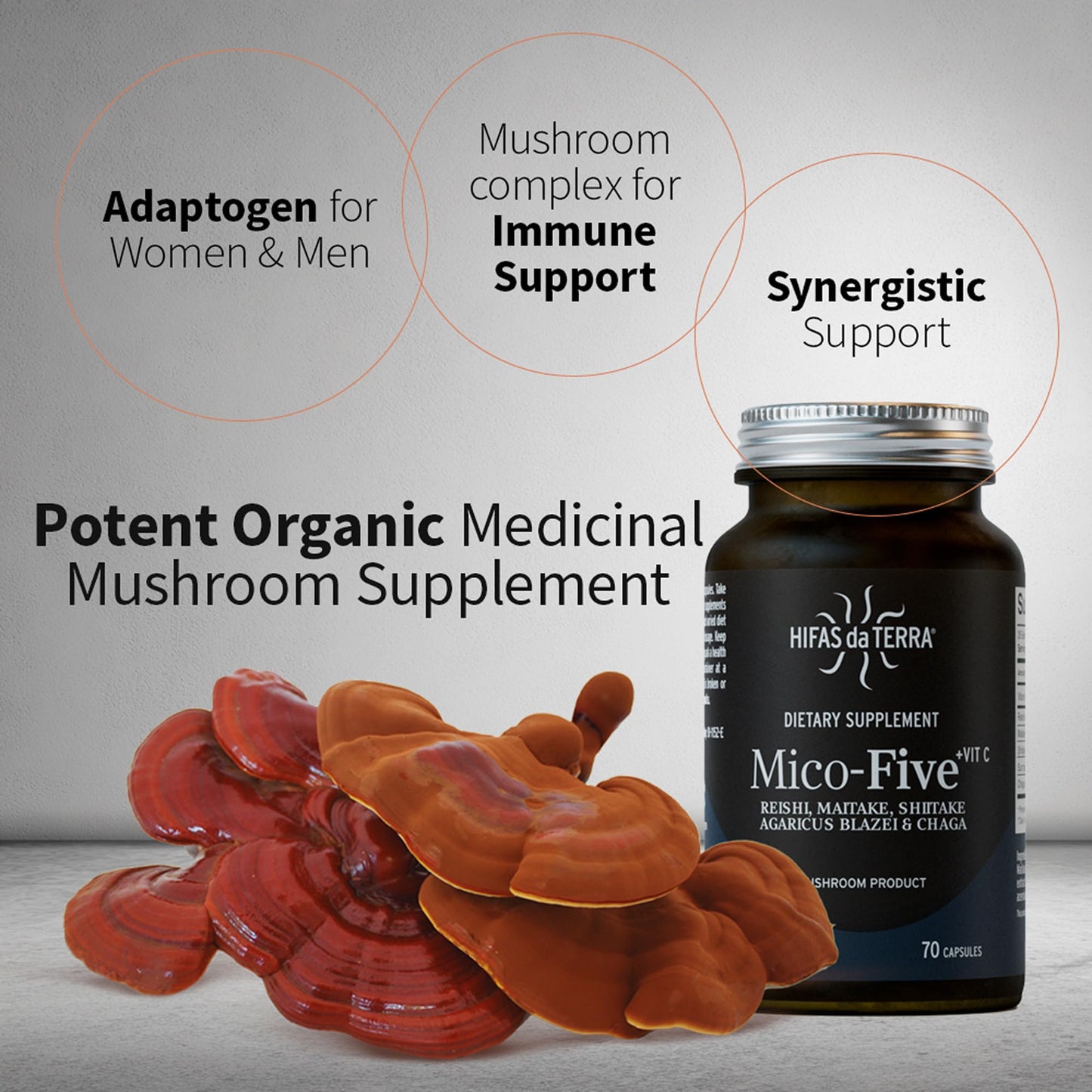 HIFAS DA TERRA Mico-Five Mushroom Complex 70 Capsules