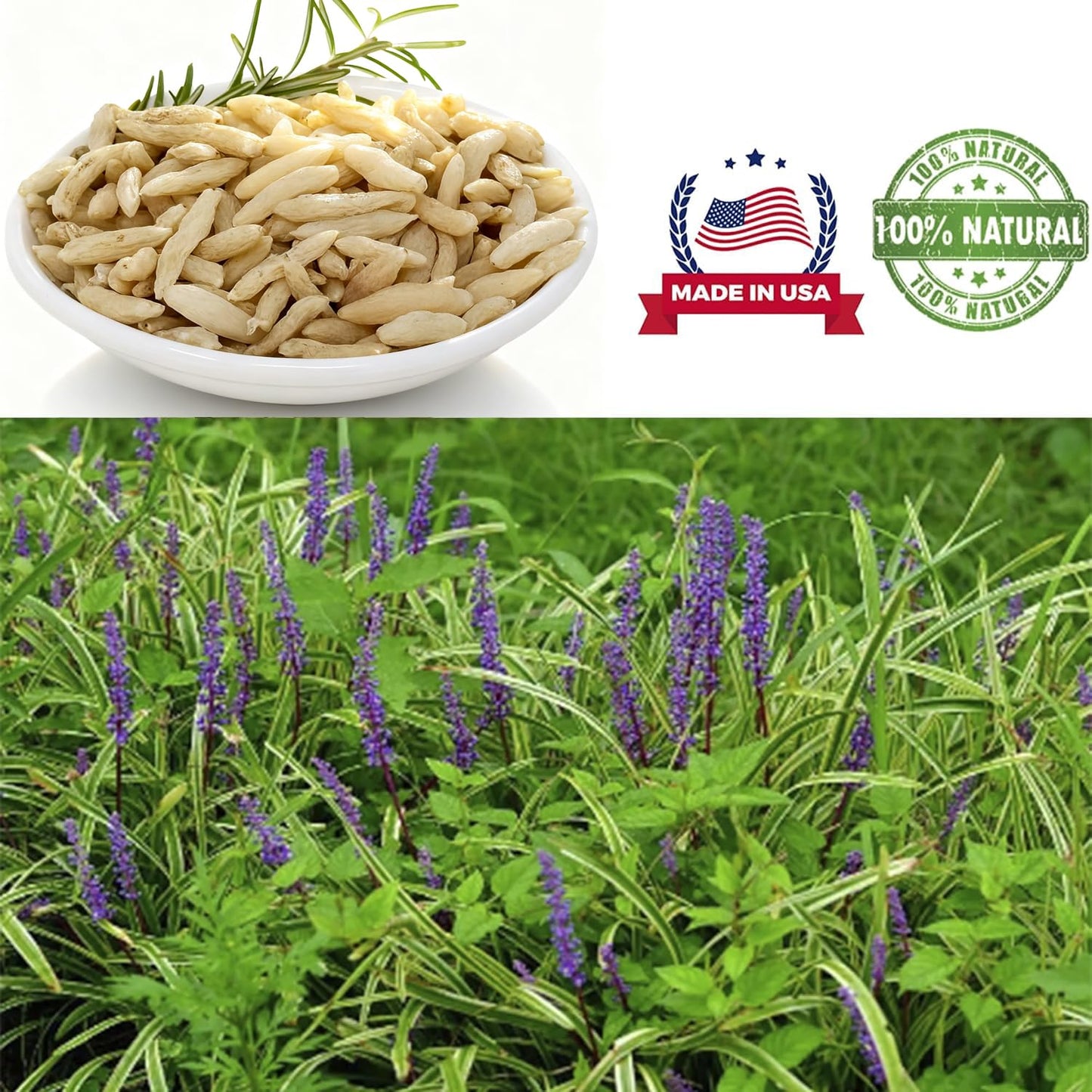 DABC OAK LAND Ophiopogon Tablet, 1 Count