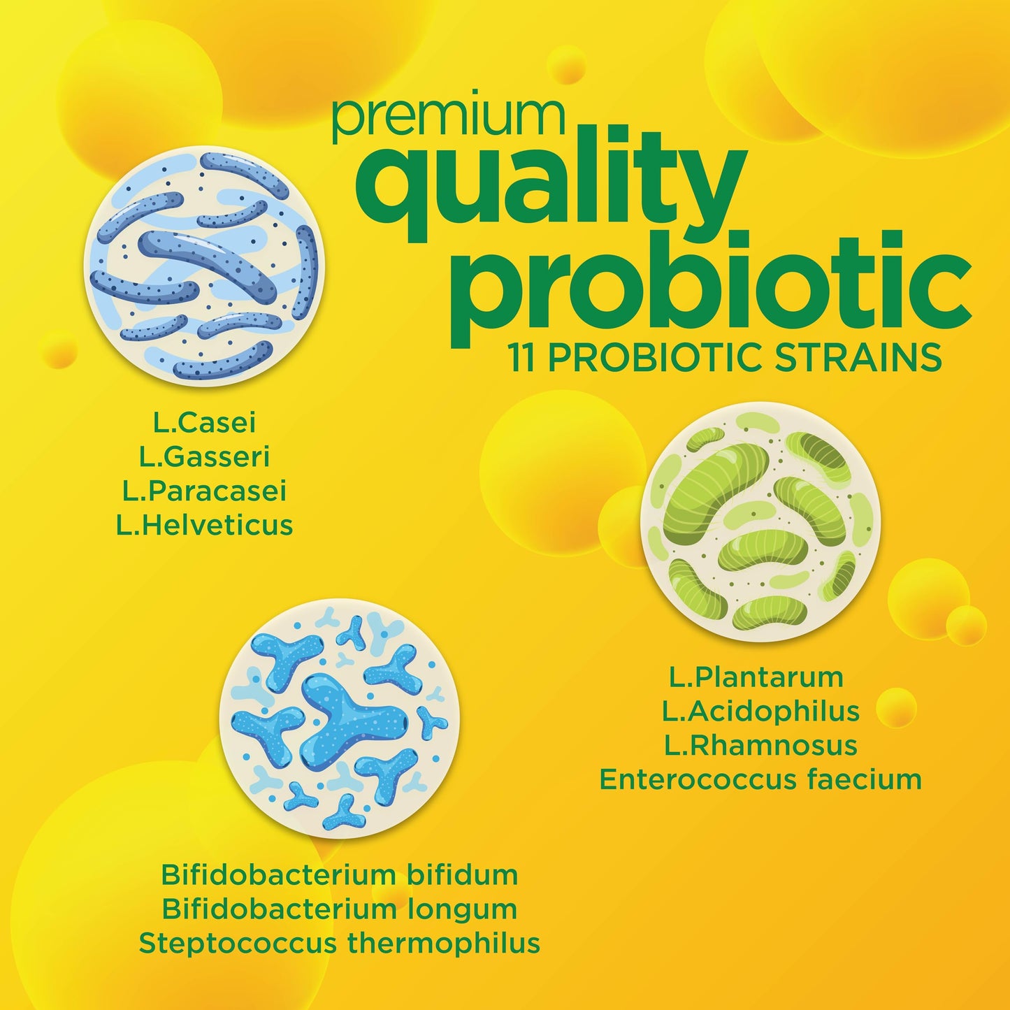 Gut Response Daily Probiotic for Men & Women Capsule, 30 Capsules