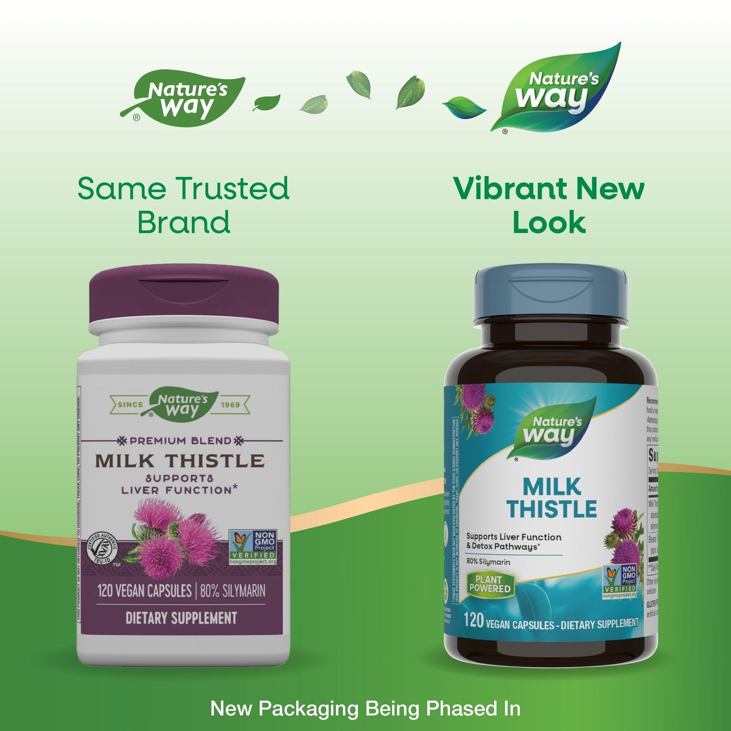 Nature's Way Milk Thistle 240 Capsules