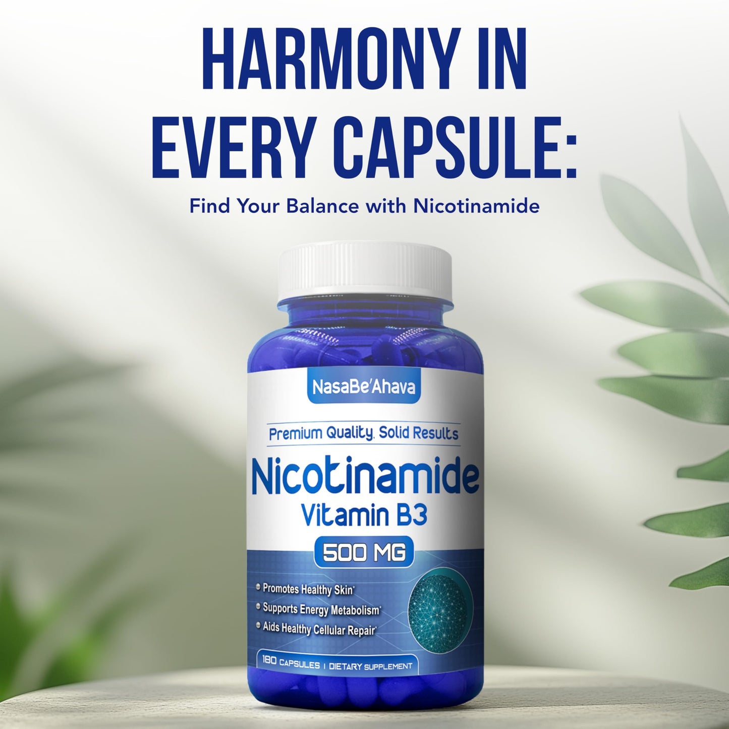 NasaBeahava Vitamin B3 Nicotinamide 500mg Capsules 180 Count