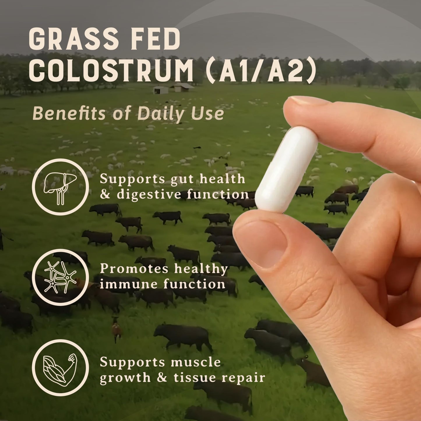 HEART & SOIL Colostrum Supplement Capsule, 180 Count