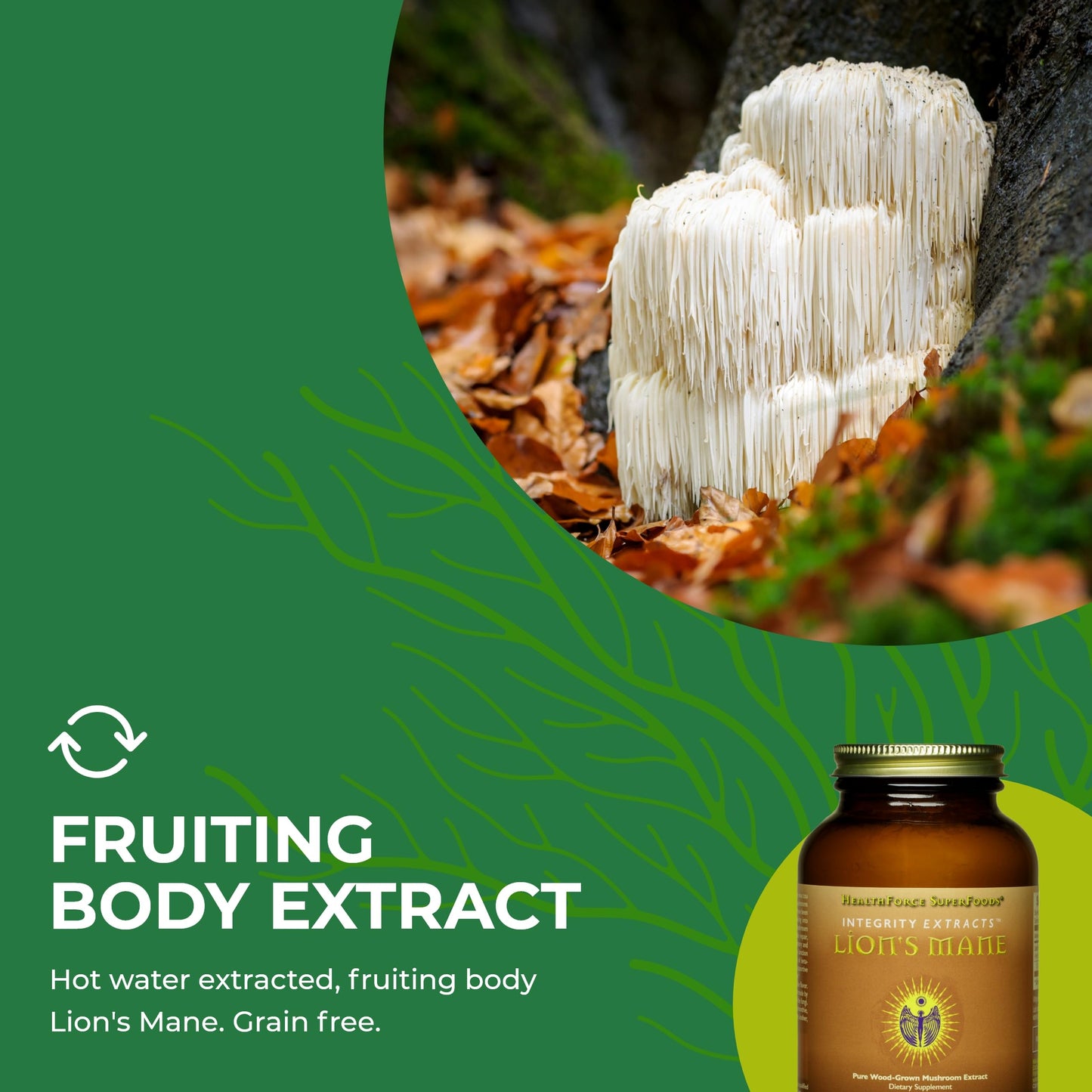 HEALTHFORCE SUPERFOODS Integrity Extracts Lion's Mane Powder 2.1164