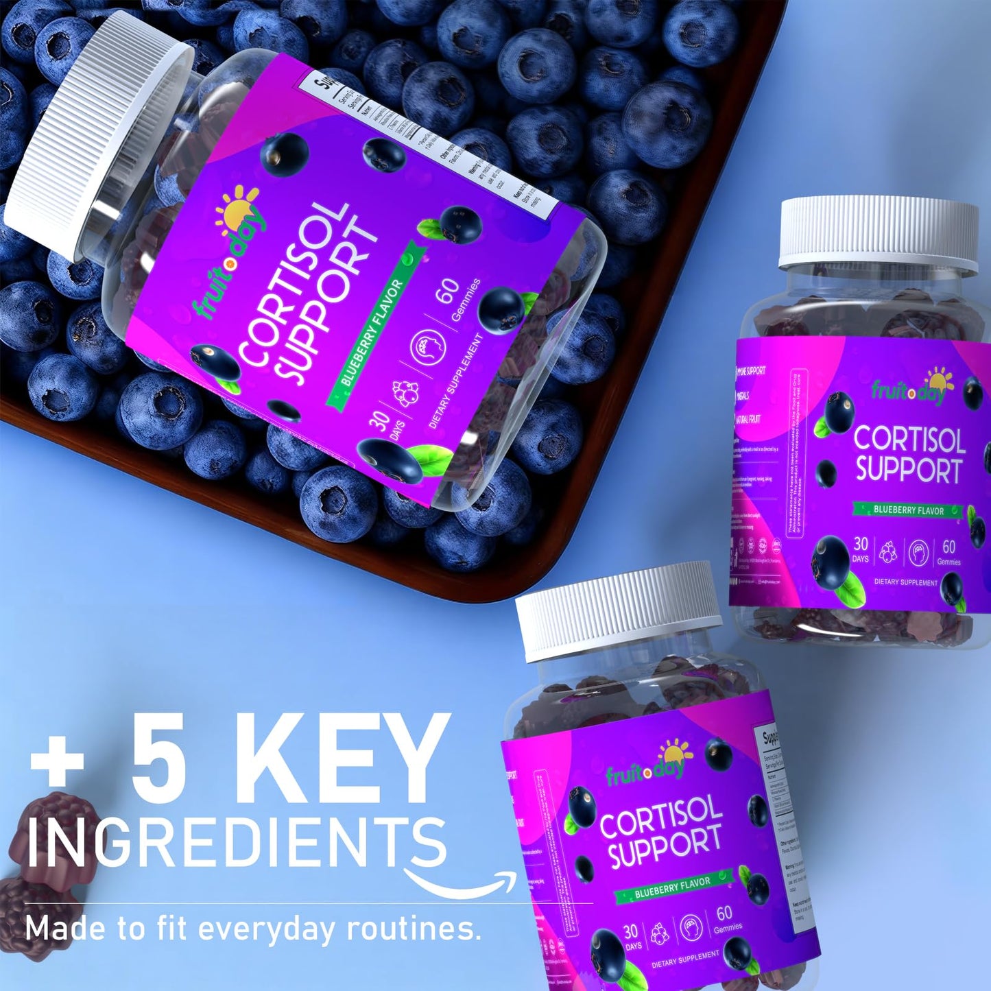 Fruitoday Cortisol Support Gummies with Ashwagandha & L-Theanine – 5-Ingredient Daily Formula, Blueberry Flavor, 1 Count