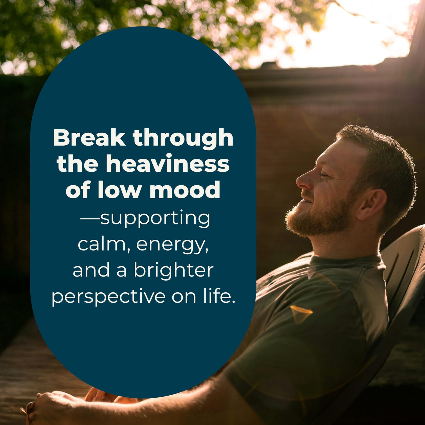 LifeSeasons Mood Stabili-T 60 Capsules