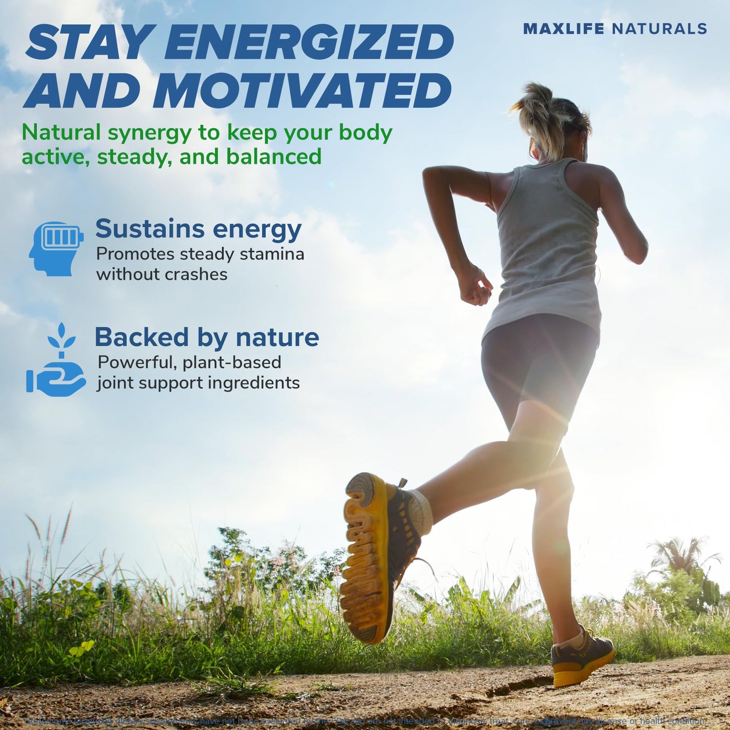 MAXLIFE NATURALS Dihydroberberine Glucovantage Super Berberine 250 mg + Ceylon Cinnamon 200 mg 60 Capsules