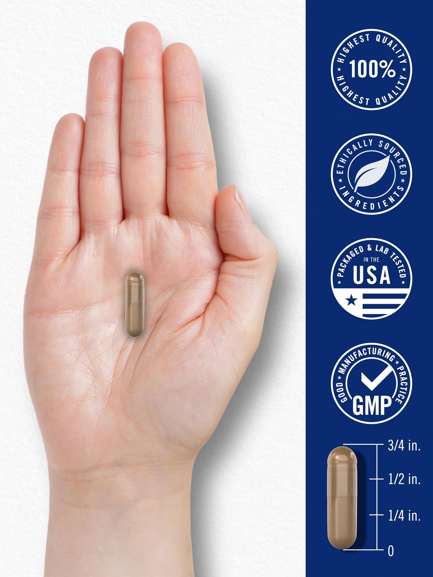Carlyle Blood Circulation Supplement Capsule, 180 Count
