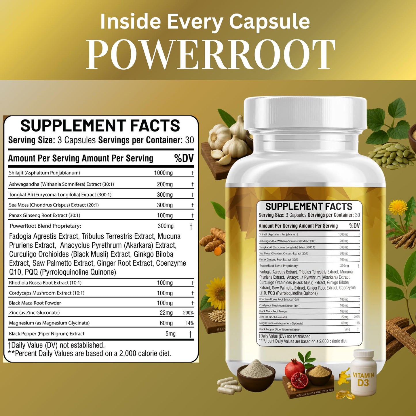 Kun Shafi Shilajit Complex Capsules, 90 Capsules