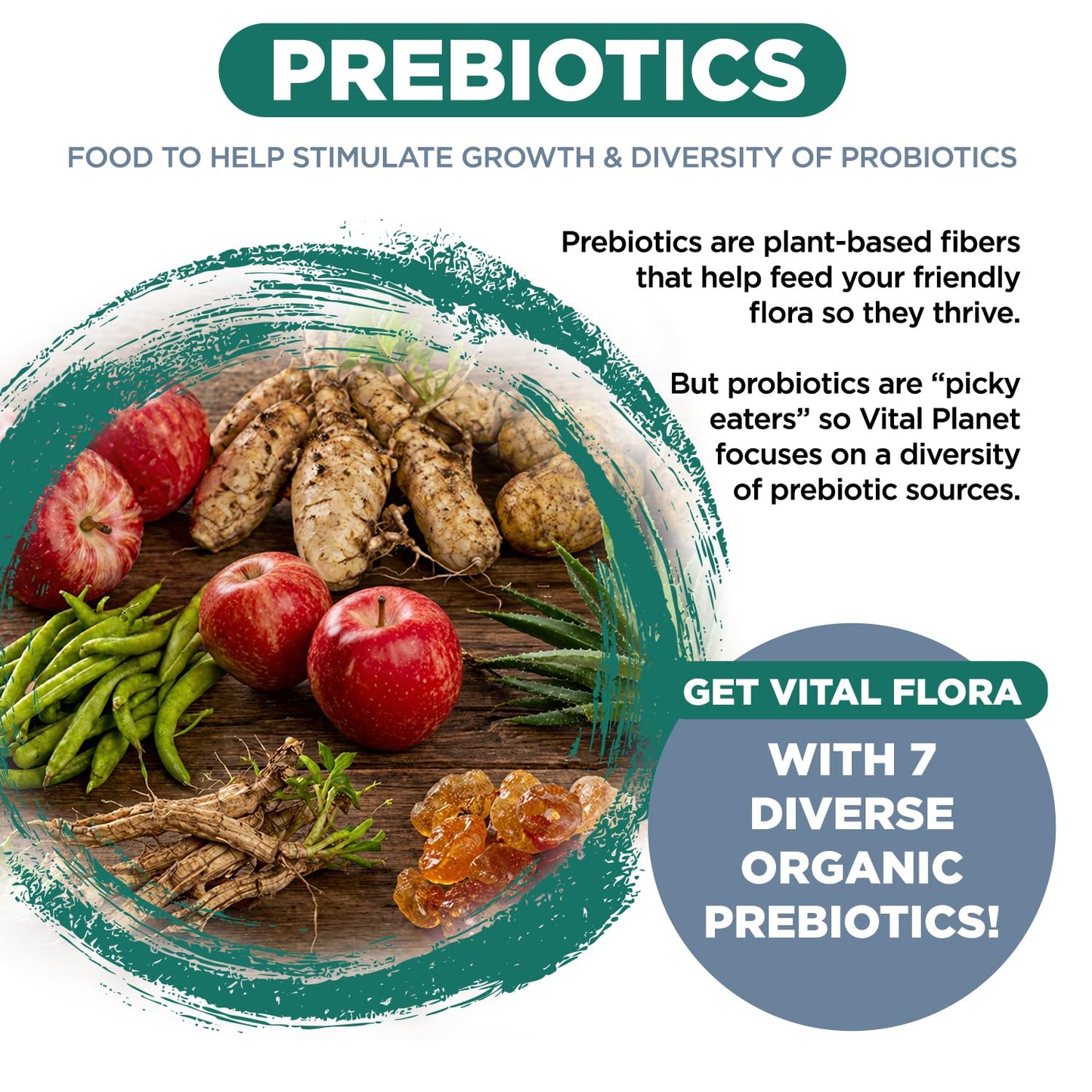 Vital Planet Vital Flora Men’s Daily Probiotic 30 Capsules
