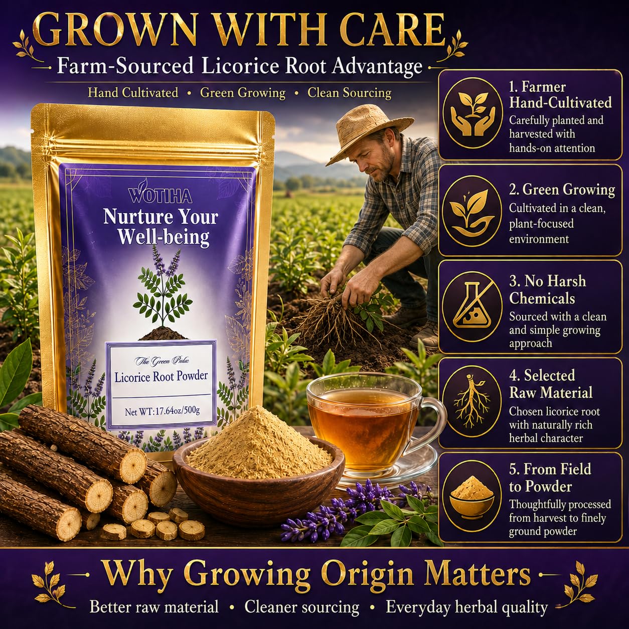 WOTIHA Licorice Root Powder 17.64 Ounce