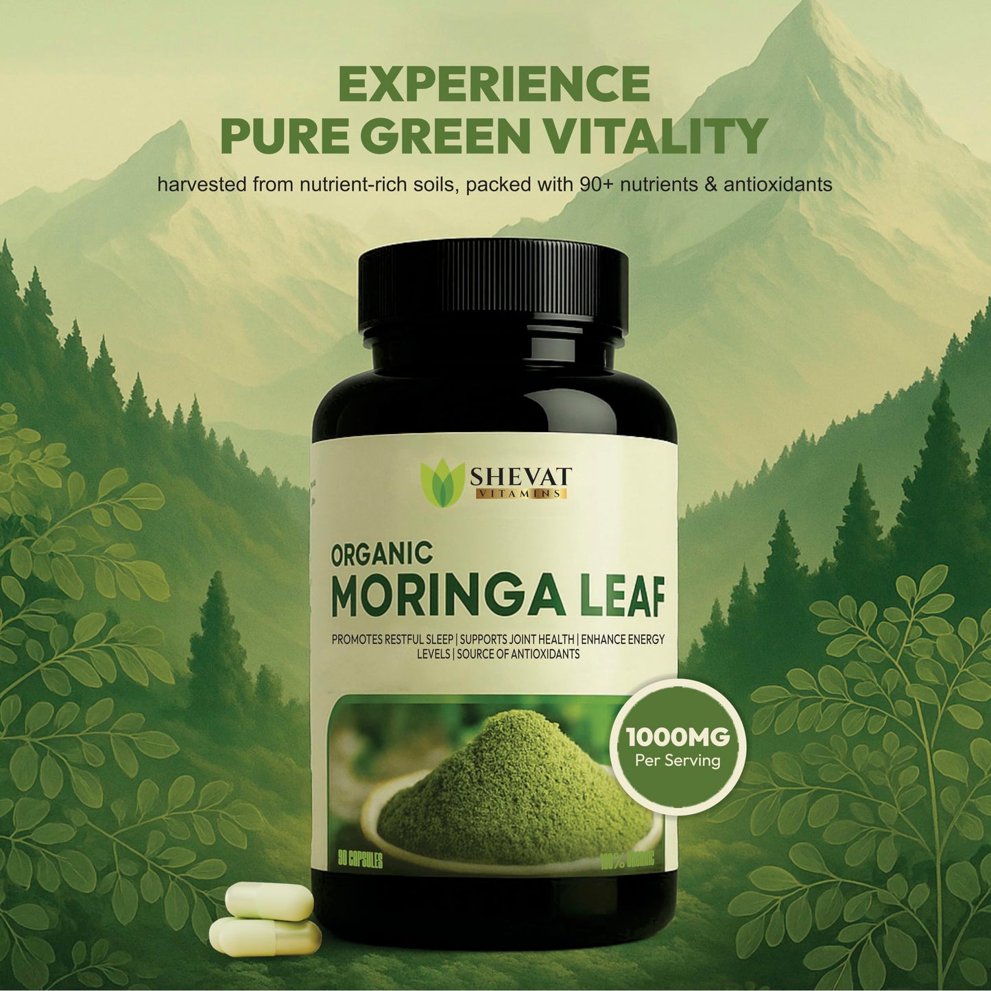 SHEVAT VITAMINS Organic Moringa Leaf 1000mg, 90 Capsules