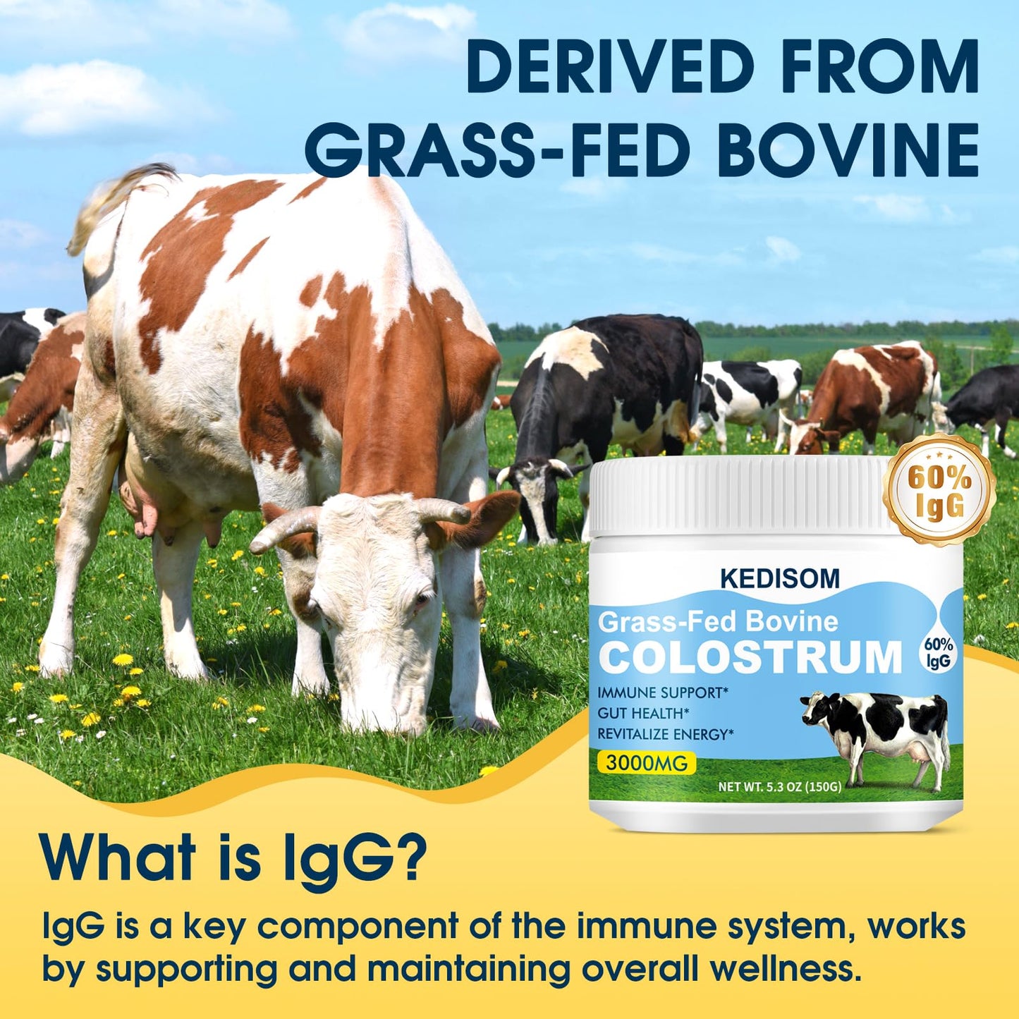 KEDISOM Grass-Fed Bovine Colostrum Supplement Powder, 50 Servings