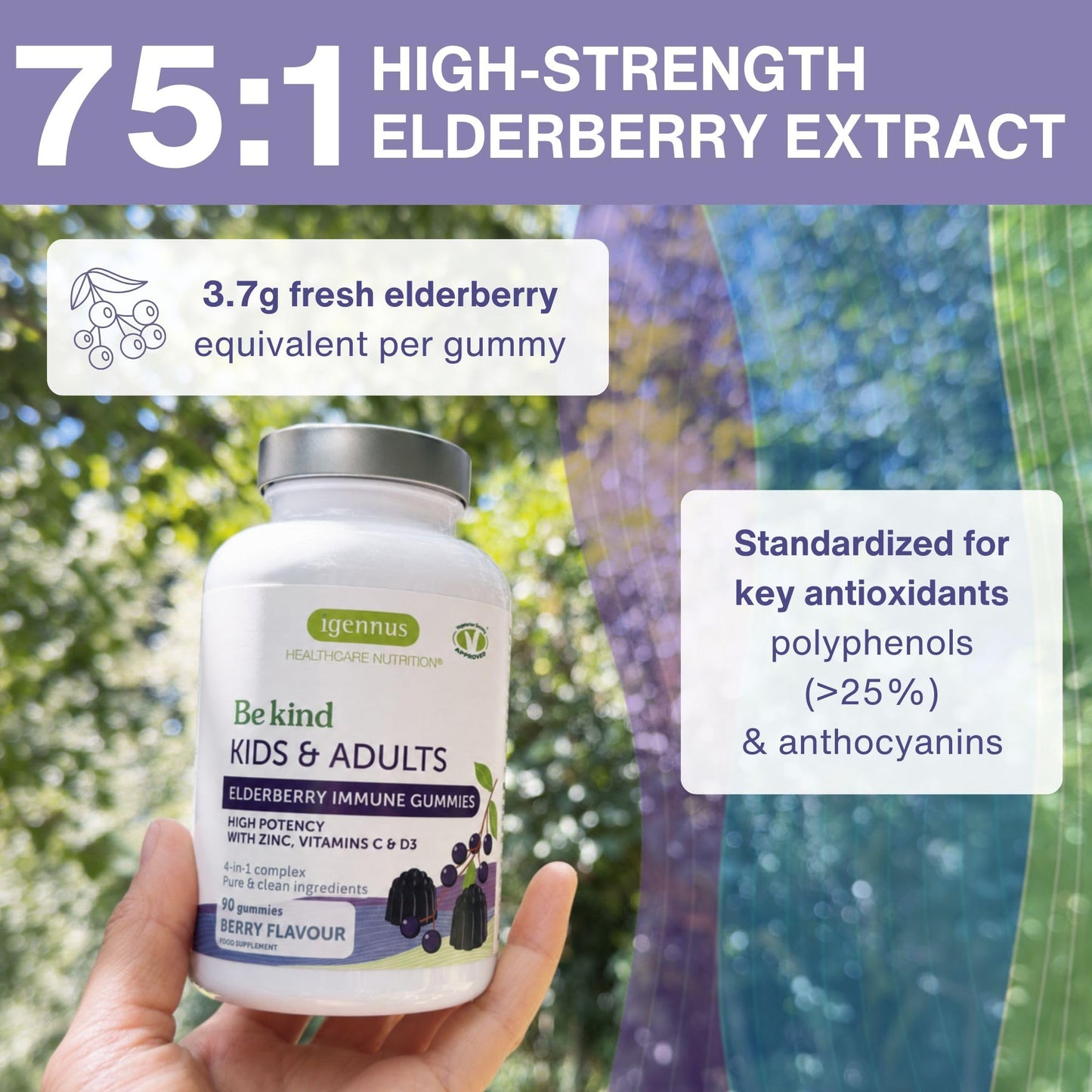 Igennus Healthcare Nutrition Advanced Elderberry Immune Gummies, Vitamin C, Zinc & D3, 90 Gummies