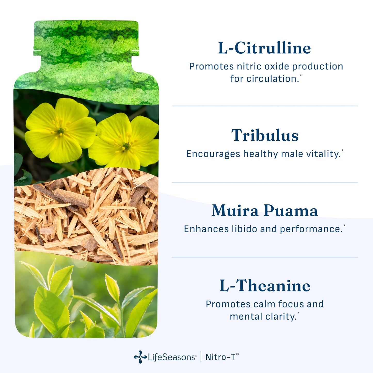 LifeSeasons Nitro-T Capsule, 90 Count