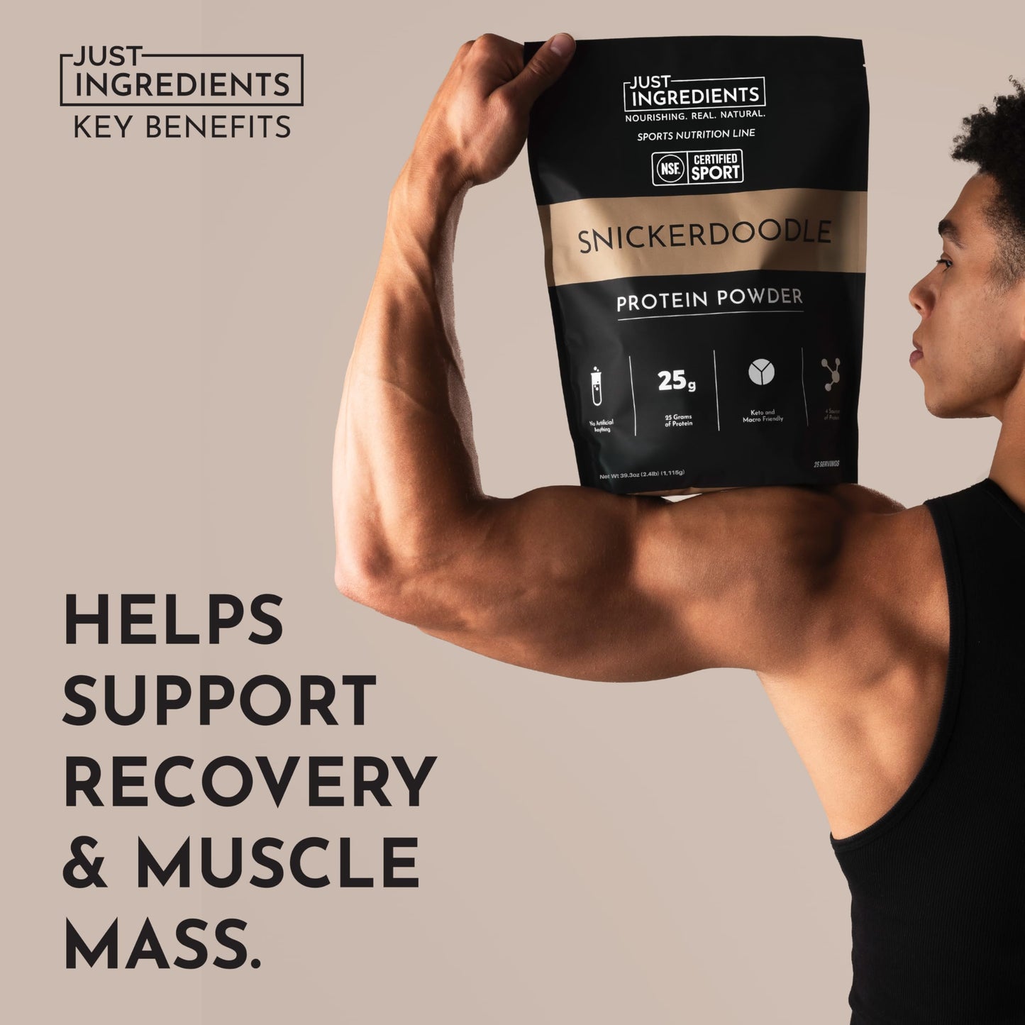 JUST INGREDIENTS Snickerdoodle Protein Powder, 25 Servings (39.3)