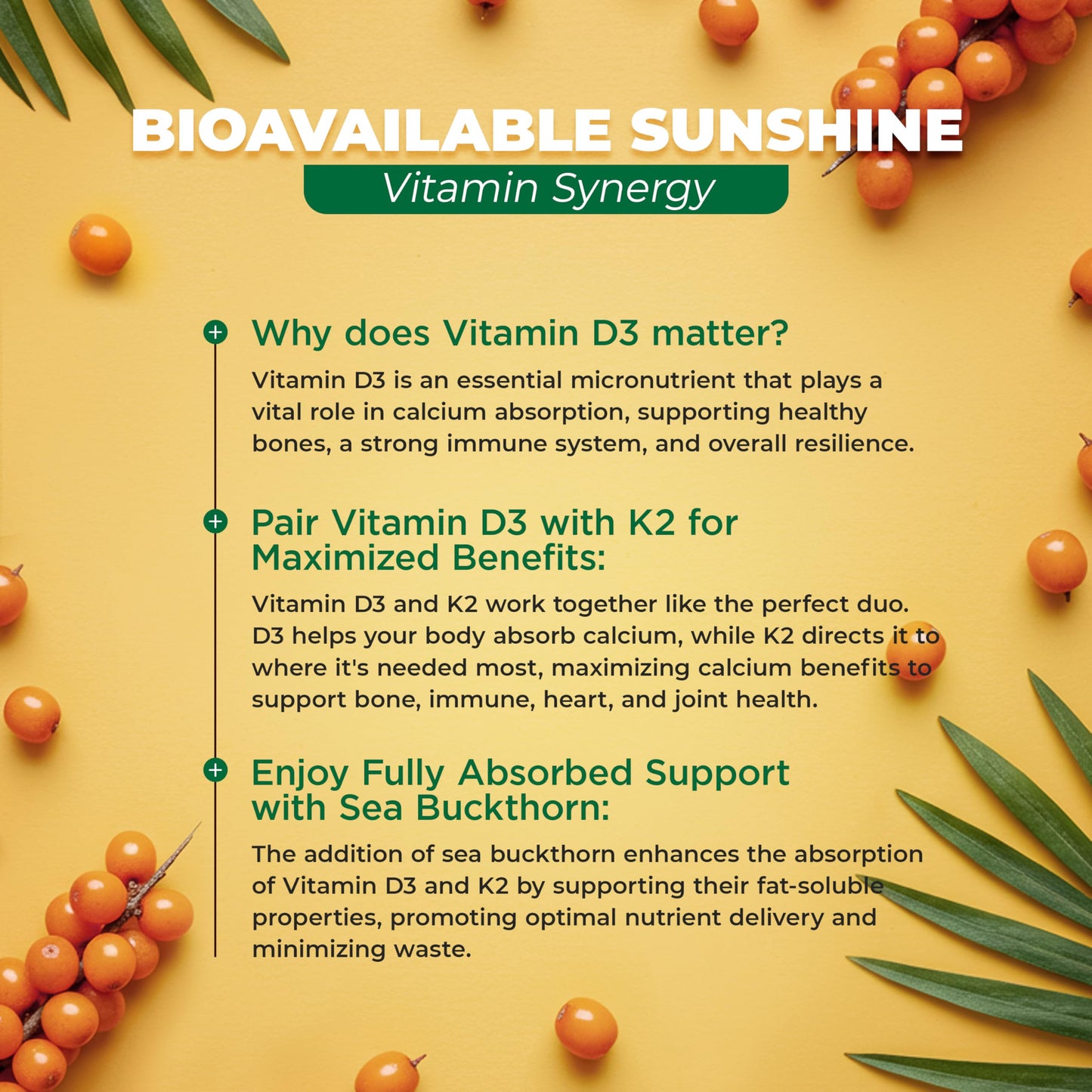 MoxyVites Vitamin D3 K2 5000 IU Capsules, 60 Count