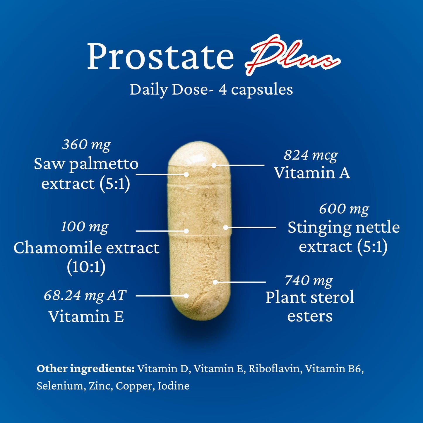 Rhoziva Prostate Plus Supplement for Men Saw Palmetto with Nettle Root Extract & Chamomile Capsules, 120 Count