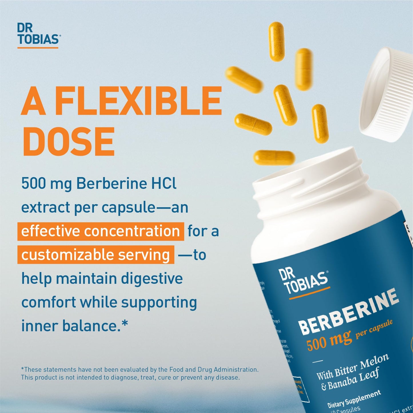 Dr. Tobias Berberine 500 mg with Bitter Melon & Banaba, 60 Capsules