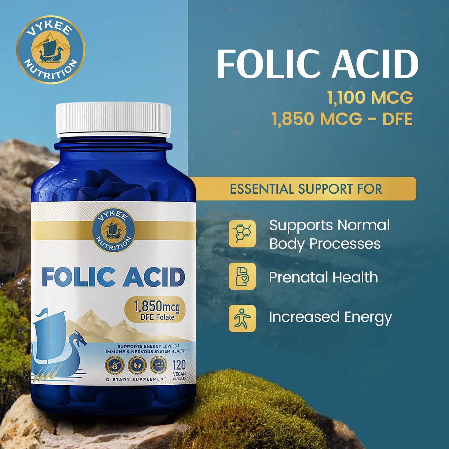 Vykee Nutrition Folic Acid Capsule 120 Capsules