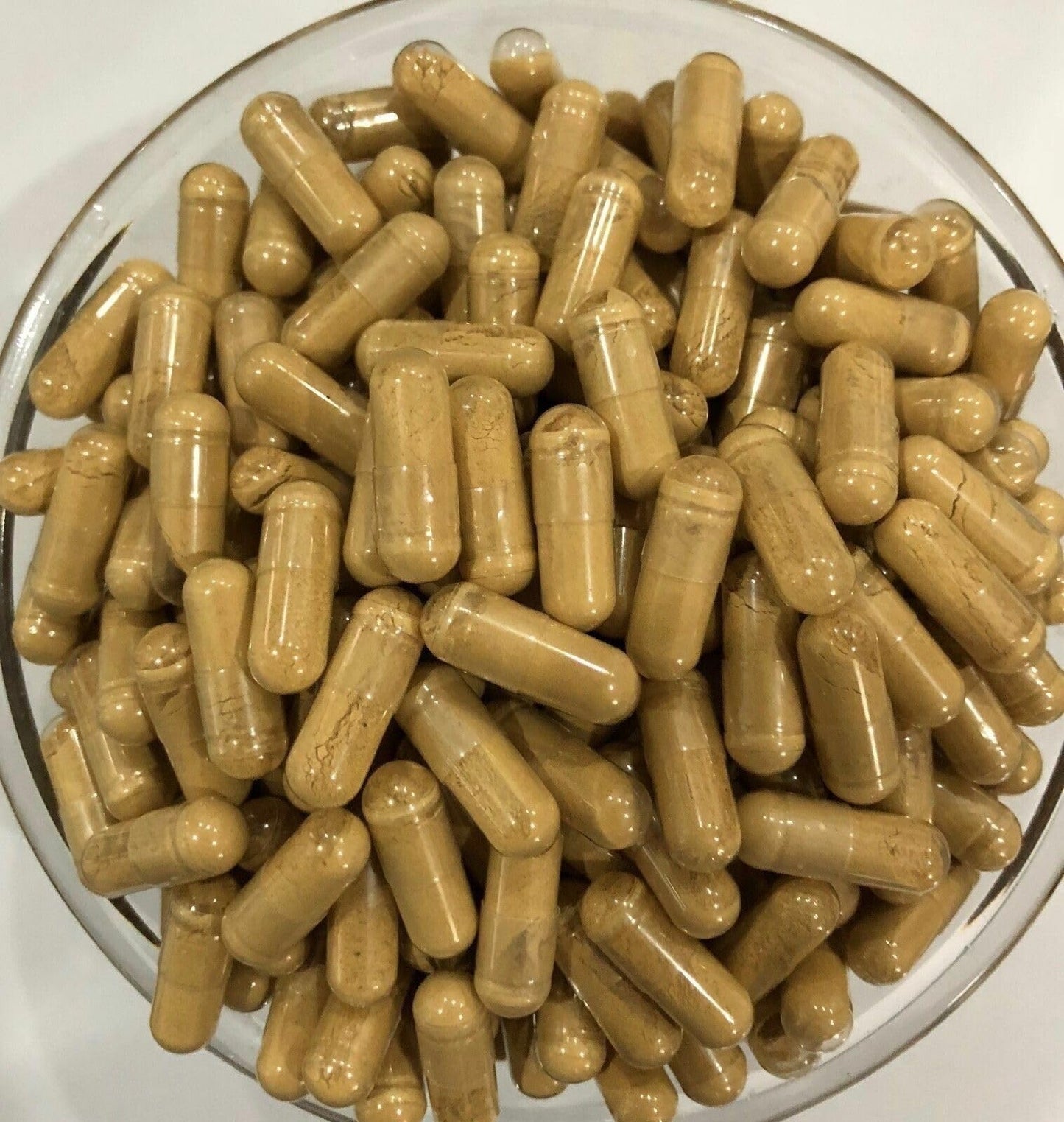 Bright sunlight Tiger Milk Mushroom Extract 30:1 500mg Capsules, 300 Capsules