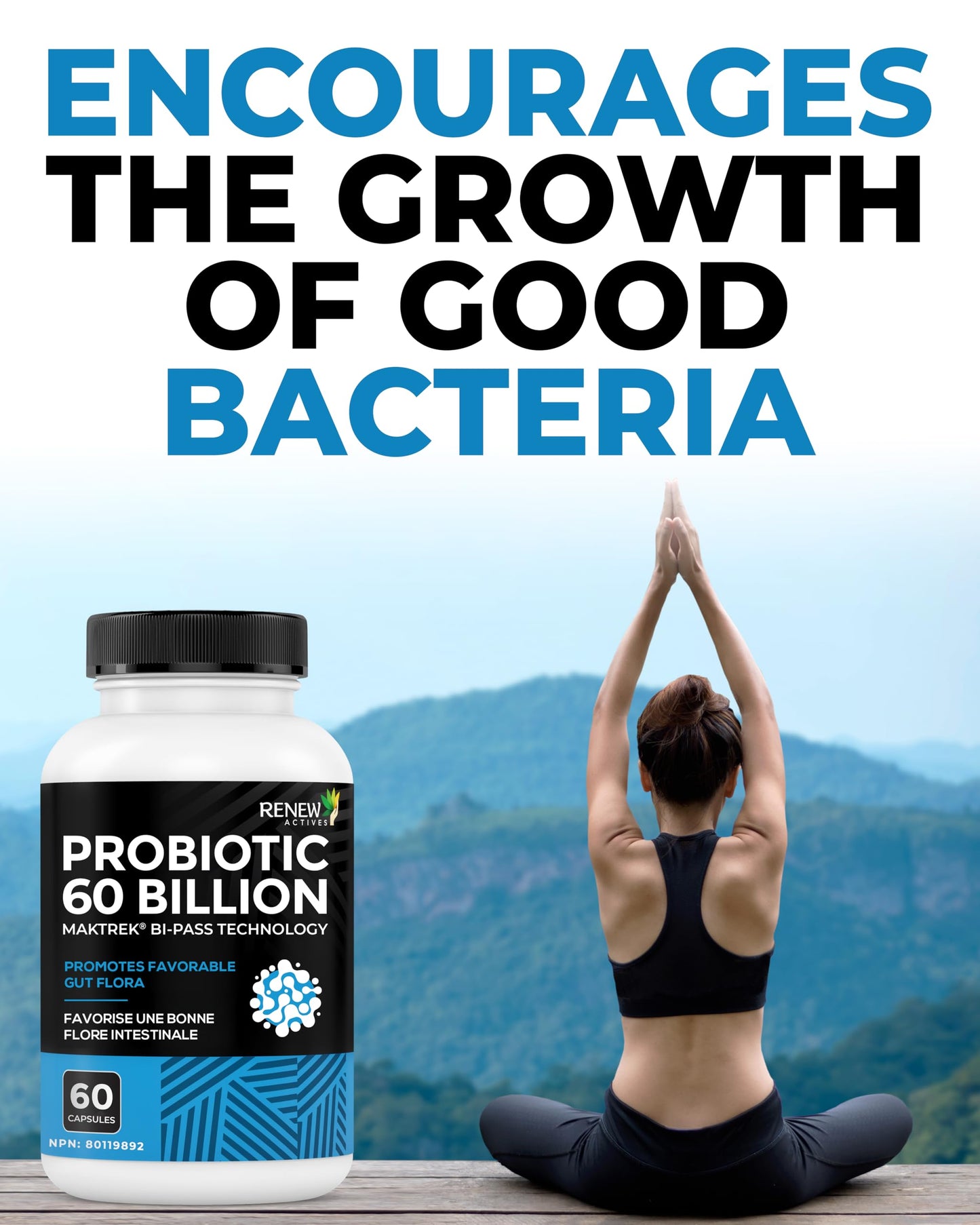 Renew Actives Probiotic Supplement for Digestive Health Capsule, 60 Capsules