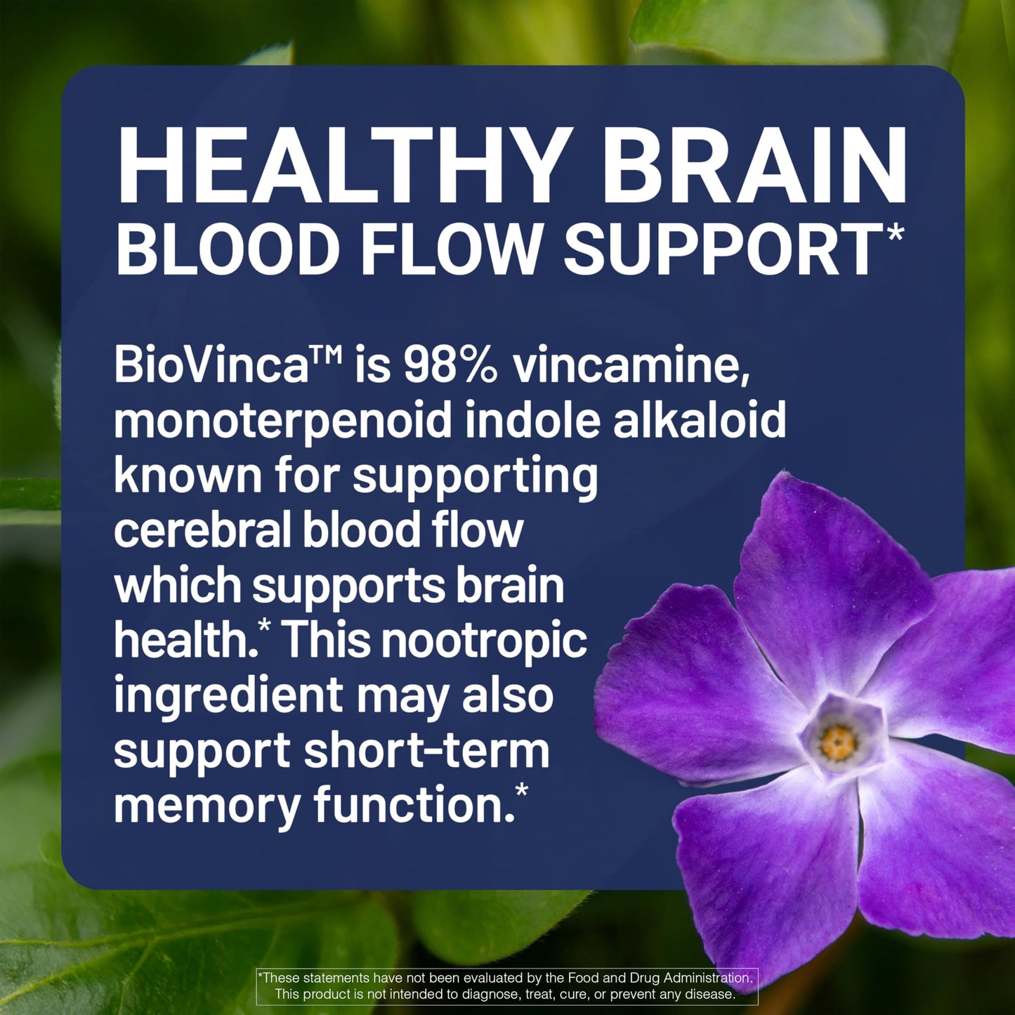 U.S. Doctors' Clinical BrainPower Advanced Clinically Tested Memory Supplement Capsule 60 Count