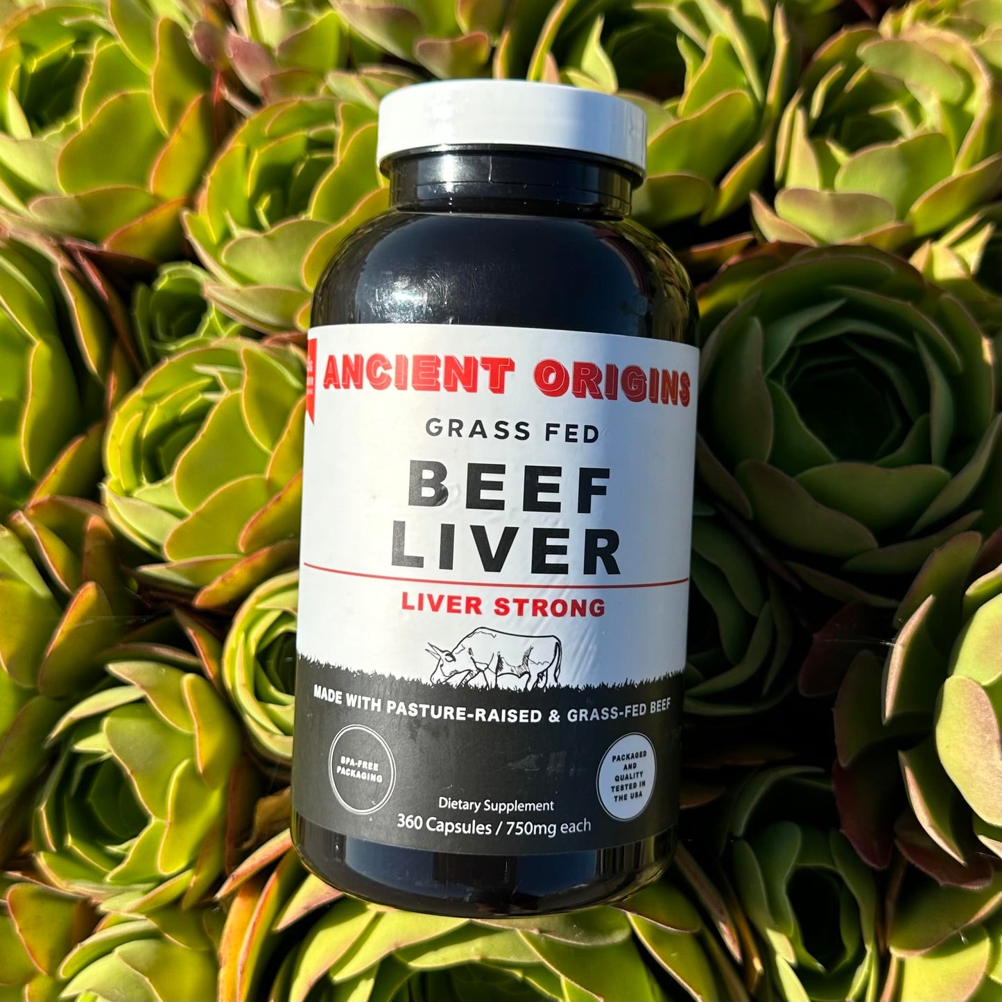 Ancient Origins Grass Fed Beef Liver Capsules 360 Capsules