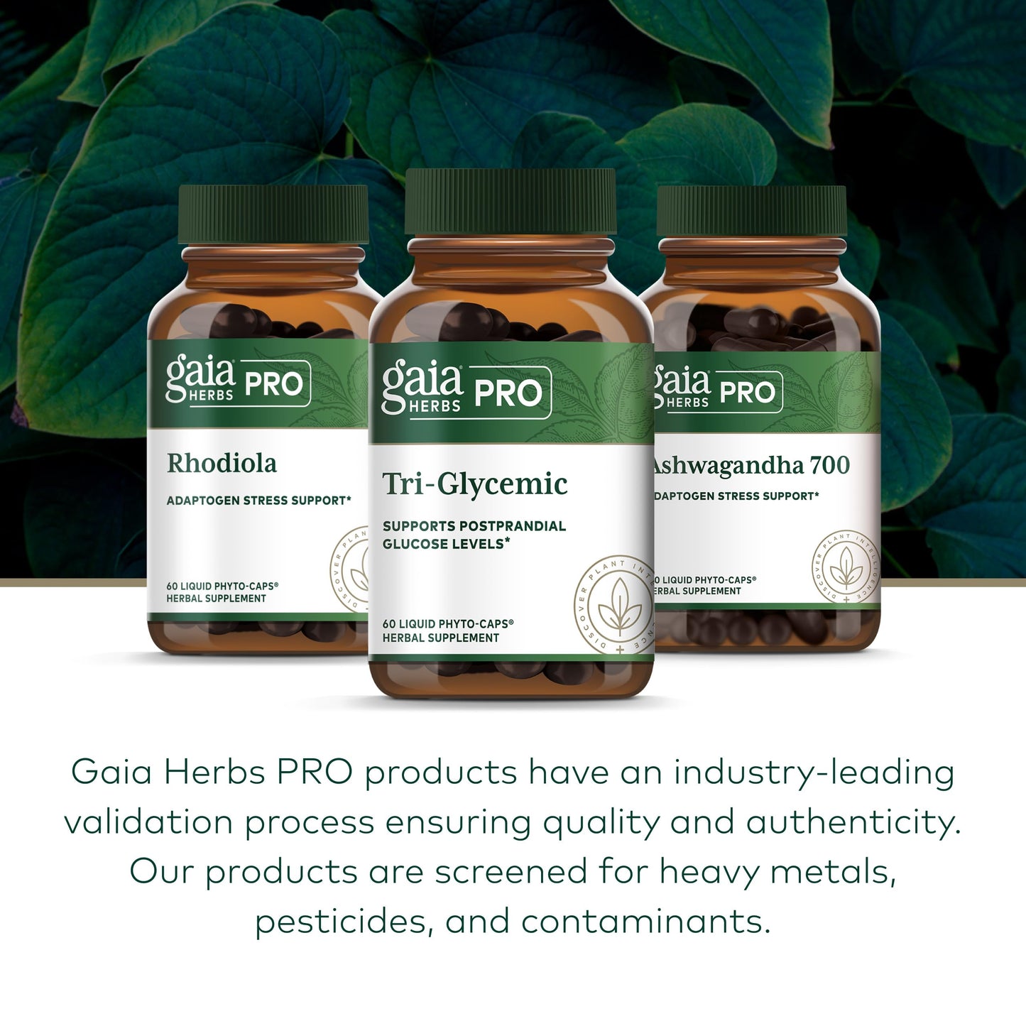 Gaia Herbs PRO Tri-Glycemic Capsule 60 Count