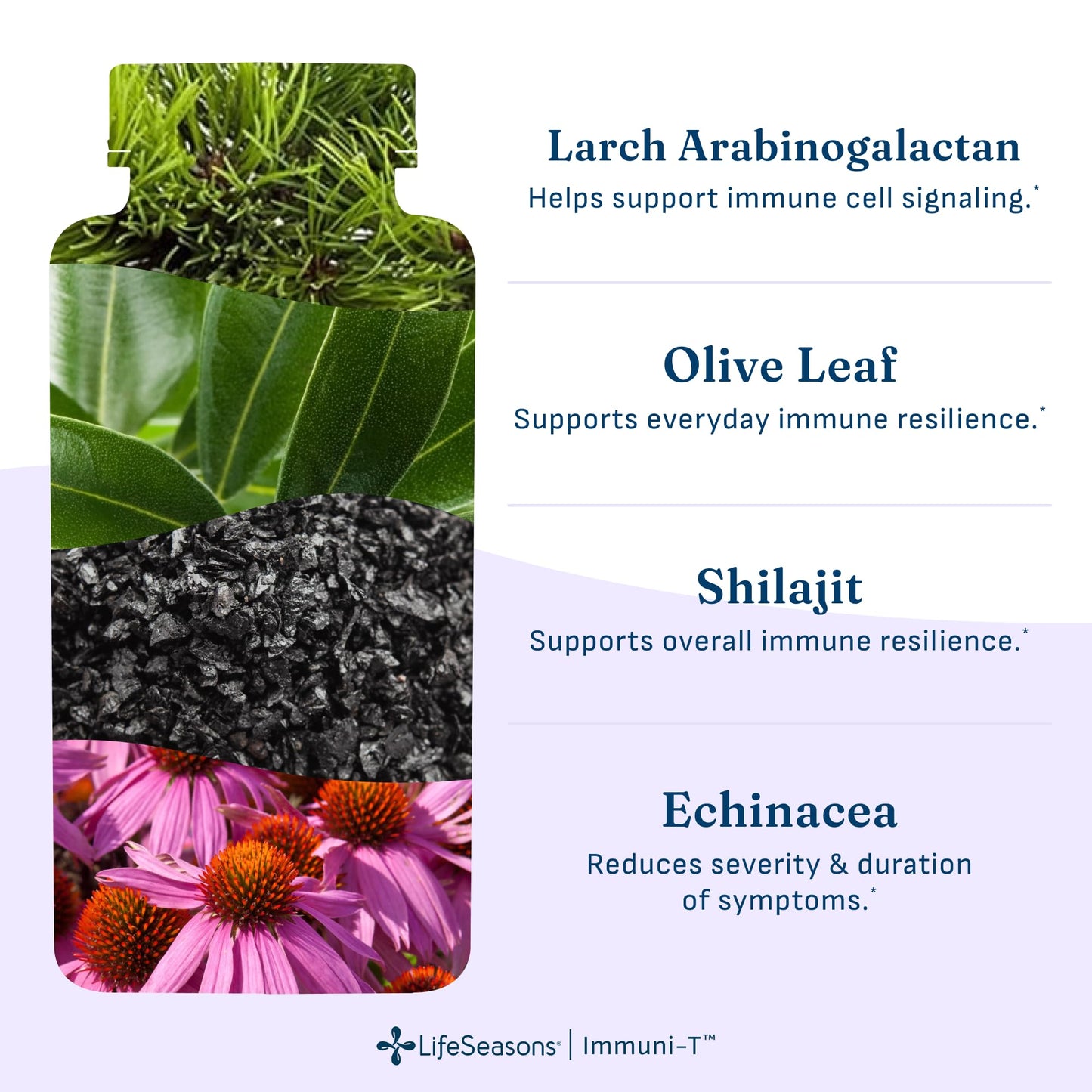 LifeSeasons Immuni-T 90 Capsules