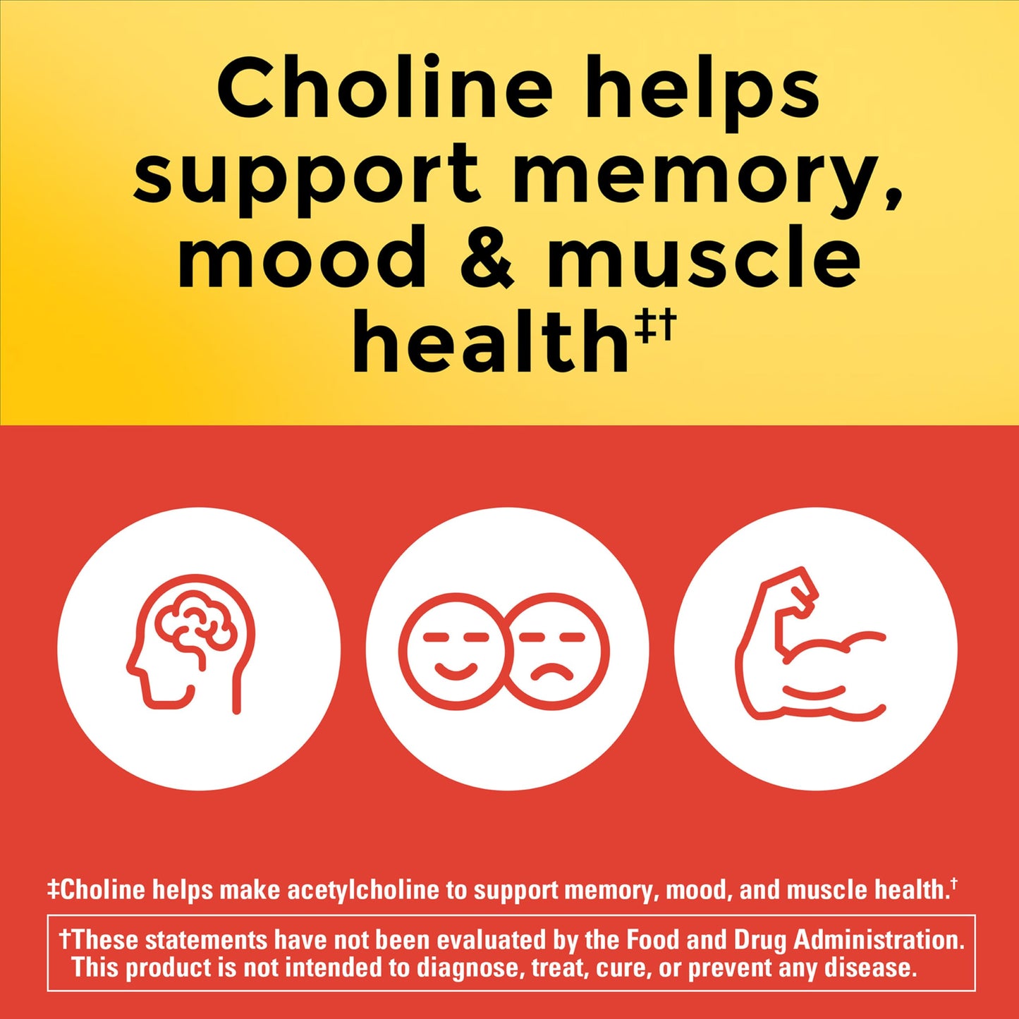 Nature Made Choline Supplements 800 mg per 3 Capsules, 60 Count