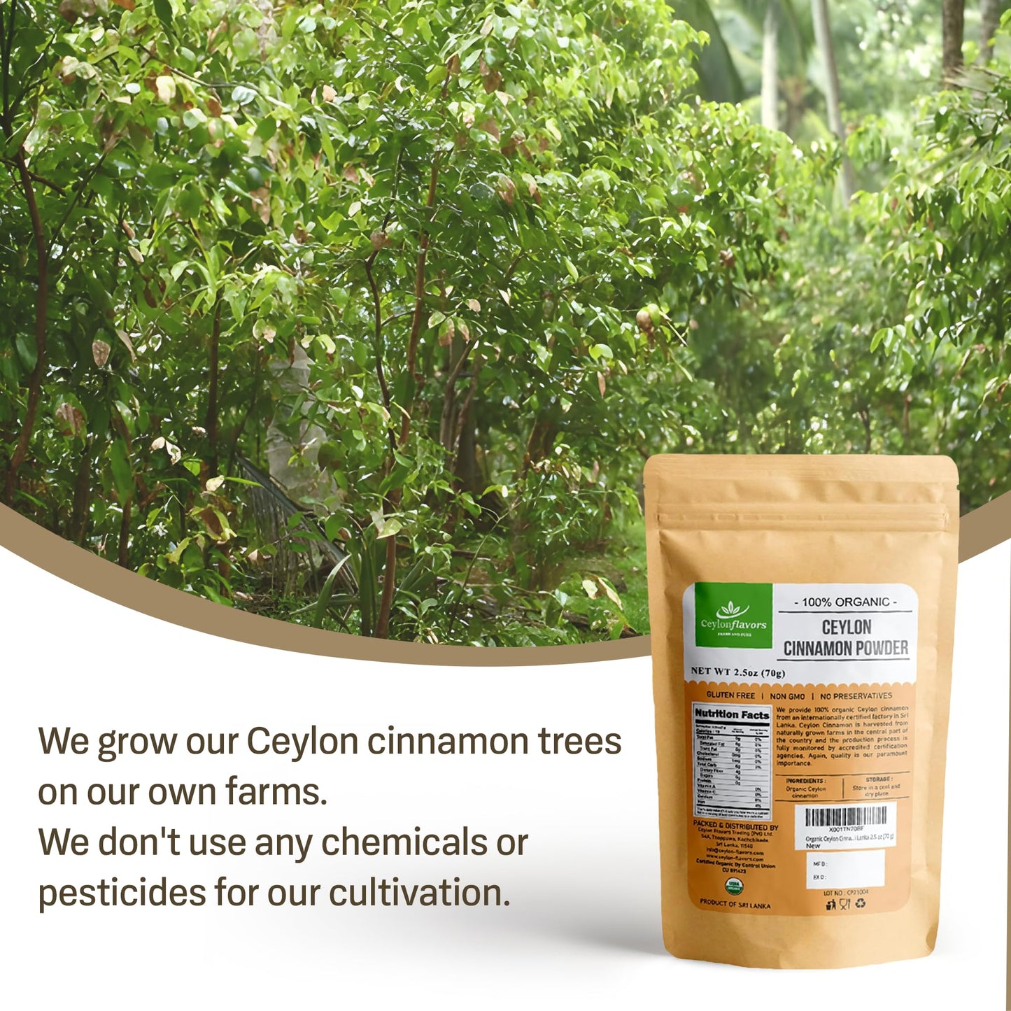 Ceylon Flavors Real Ceylon Cinnamon Powder, 2.5 oz